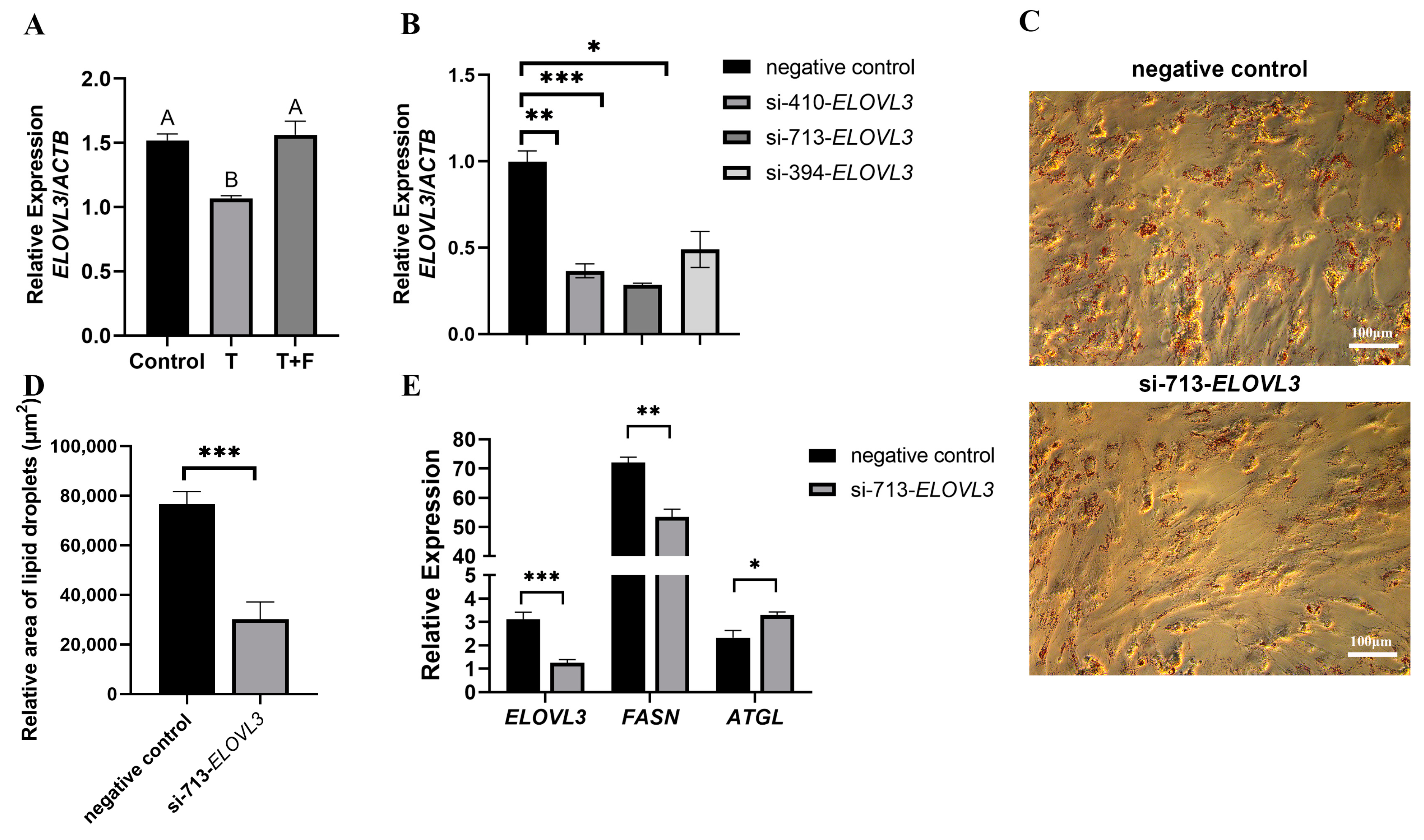 Animals 14 02143 g003