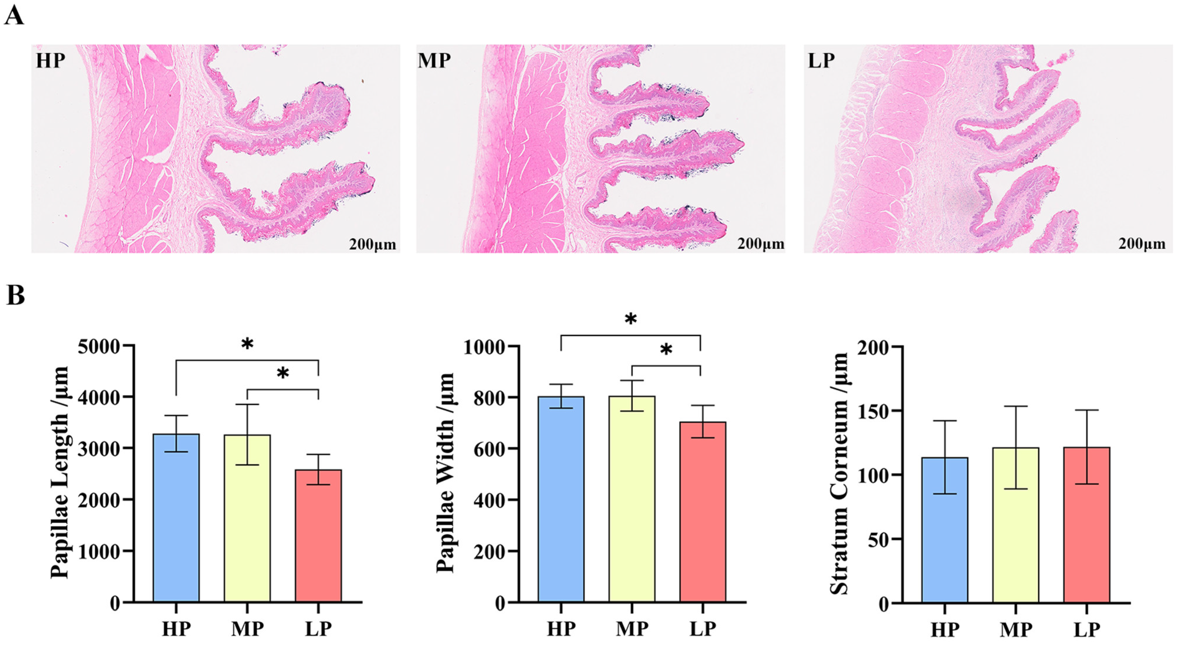 Animals 14 02149 g001