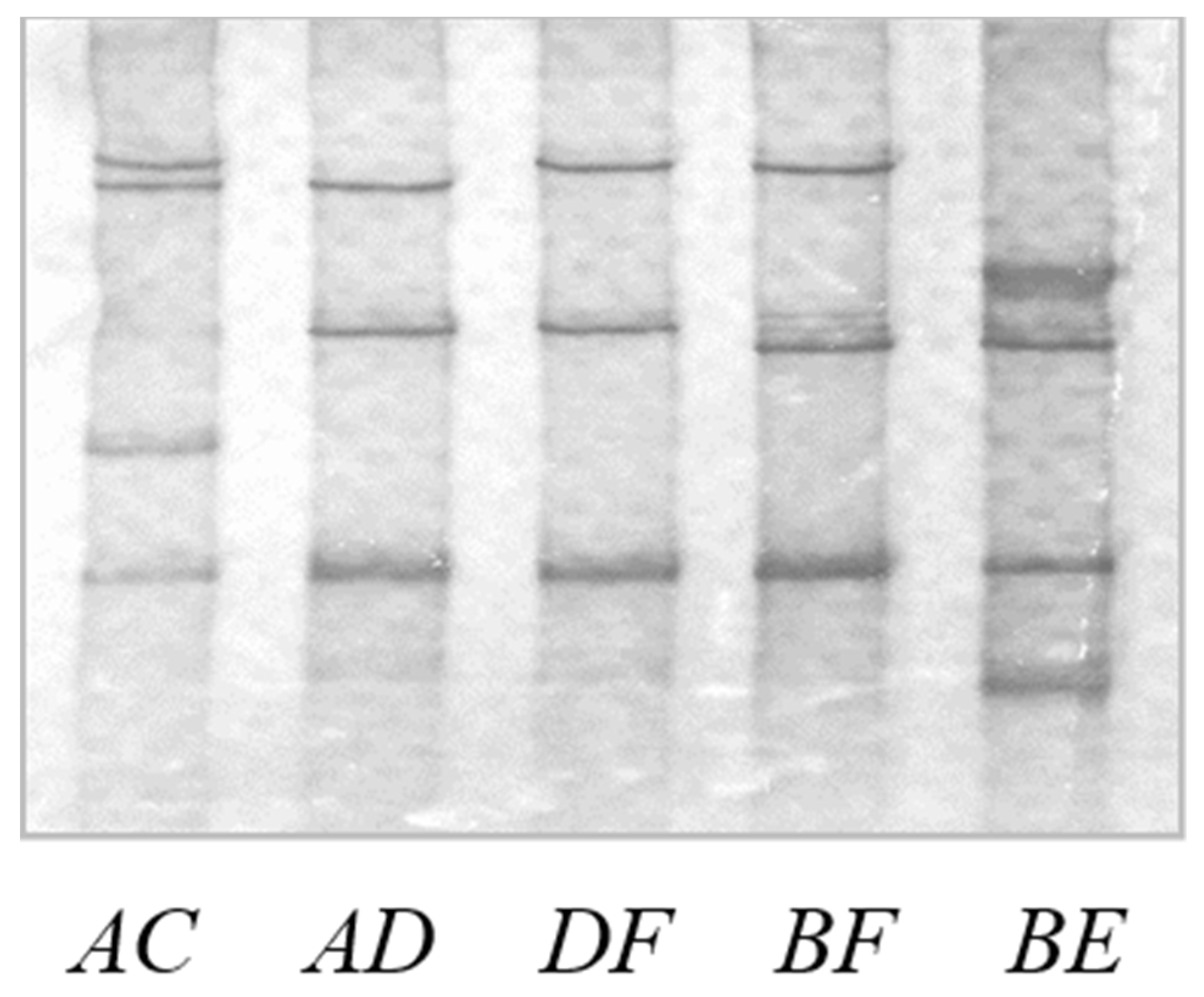 Animals 14 02155 g002