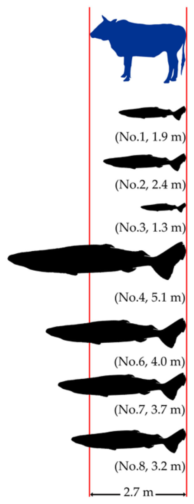 Animals 14 02162 g004