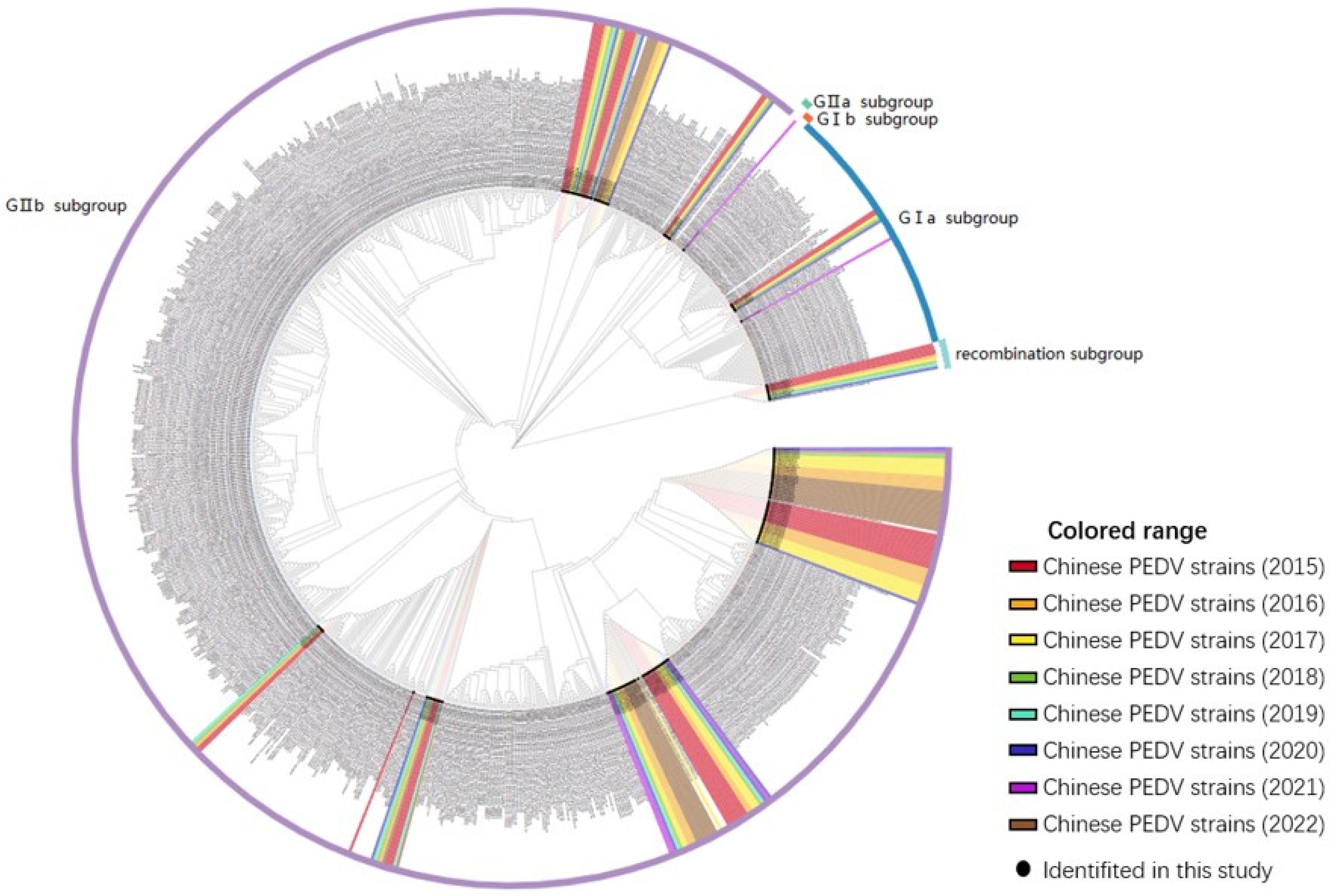 Animals 14 02168 g006