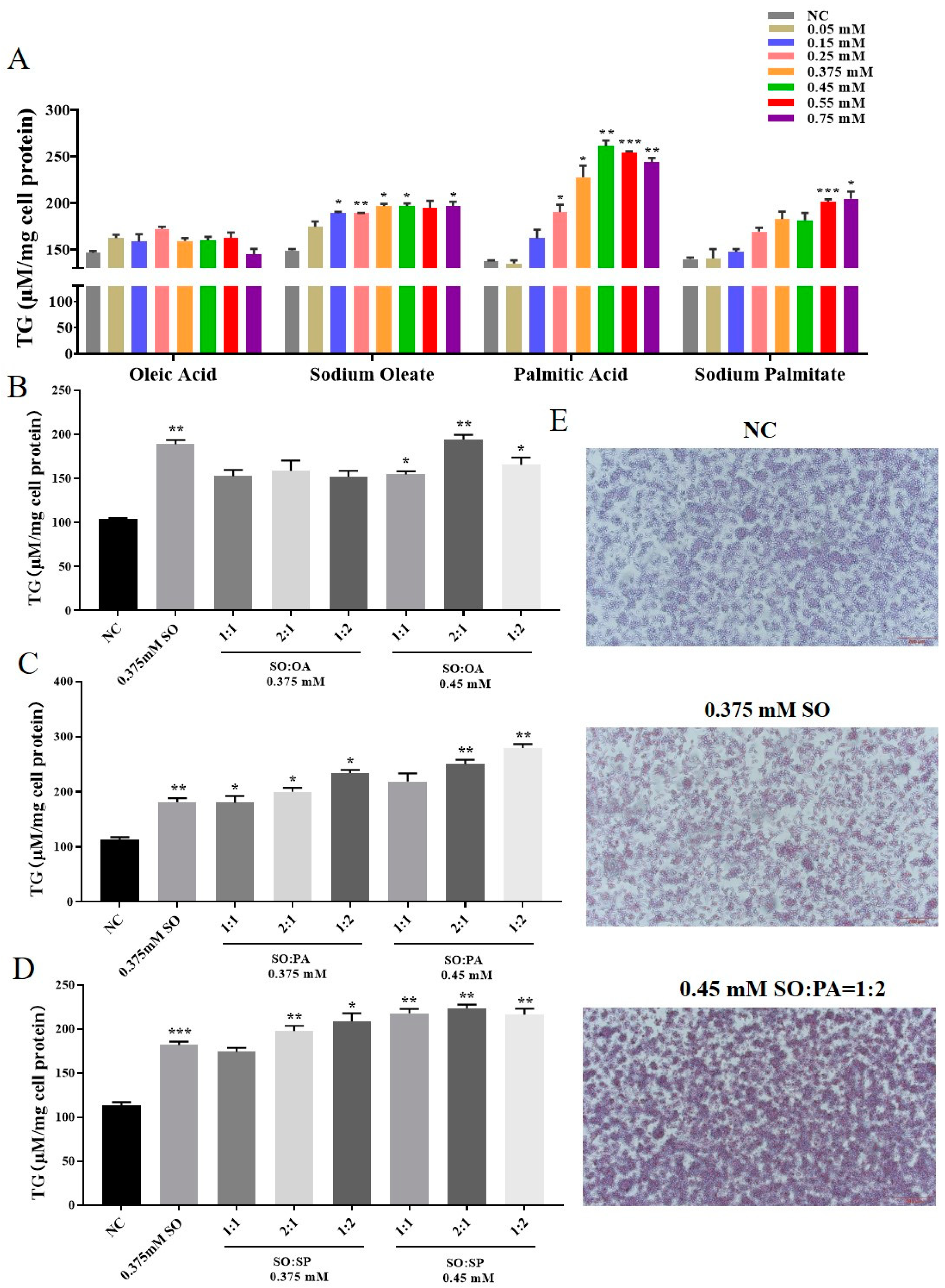Animals 14 02173 g001