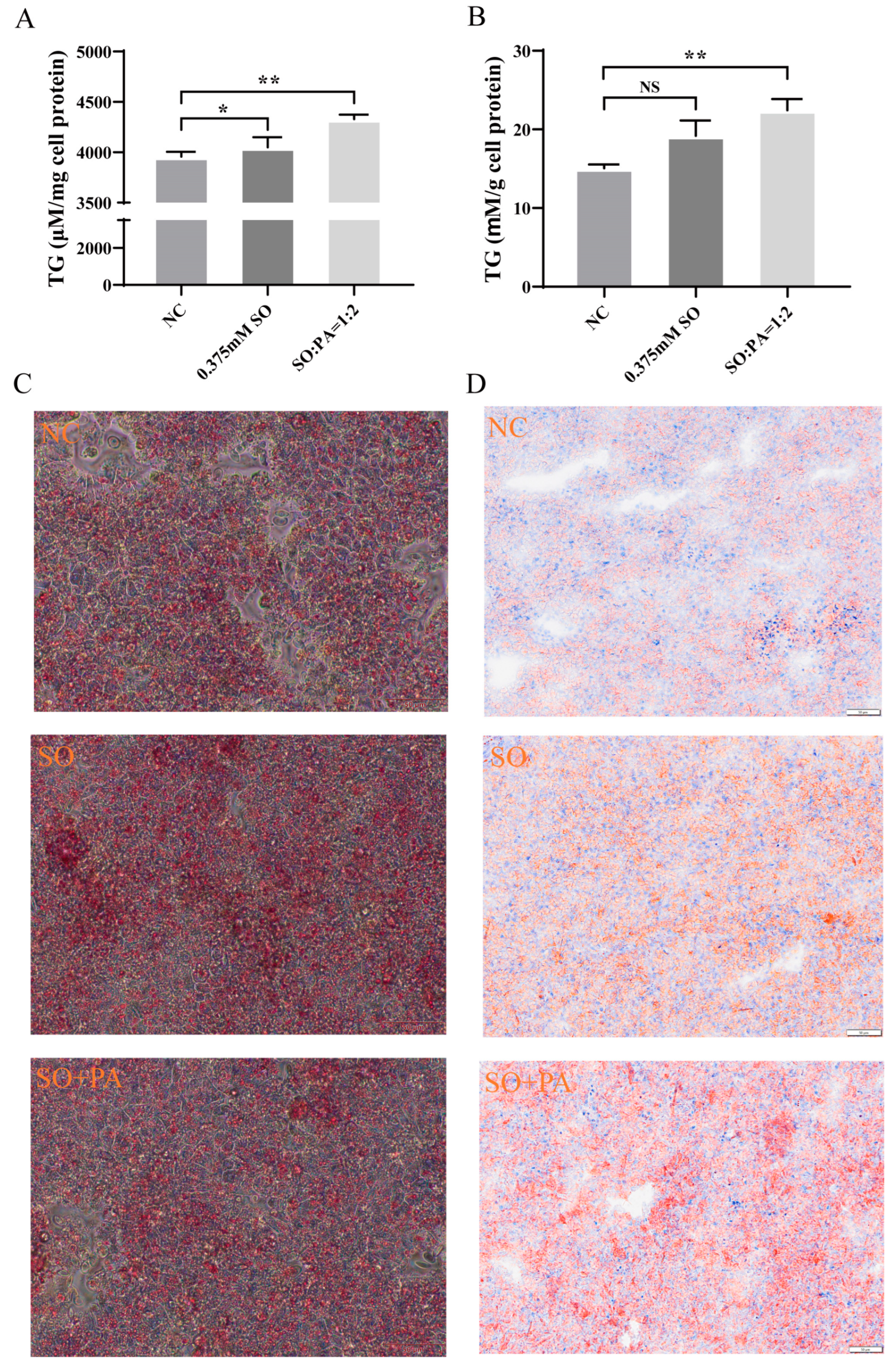 Animals 14 02173 g006