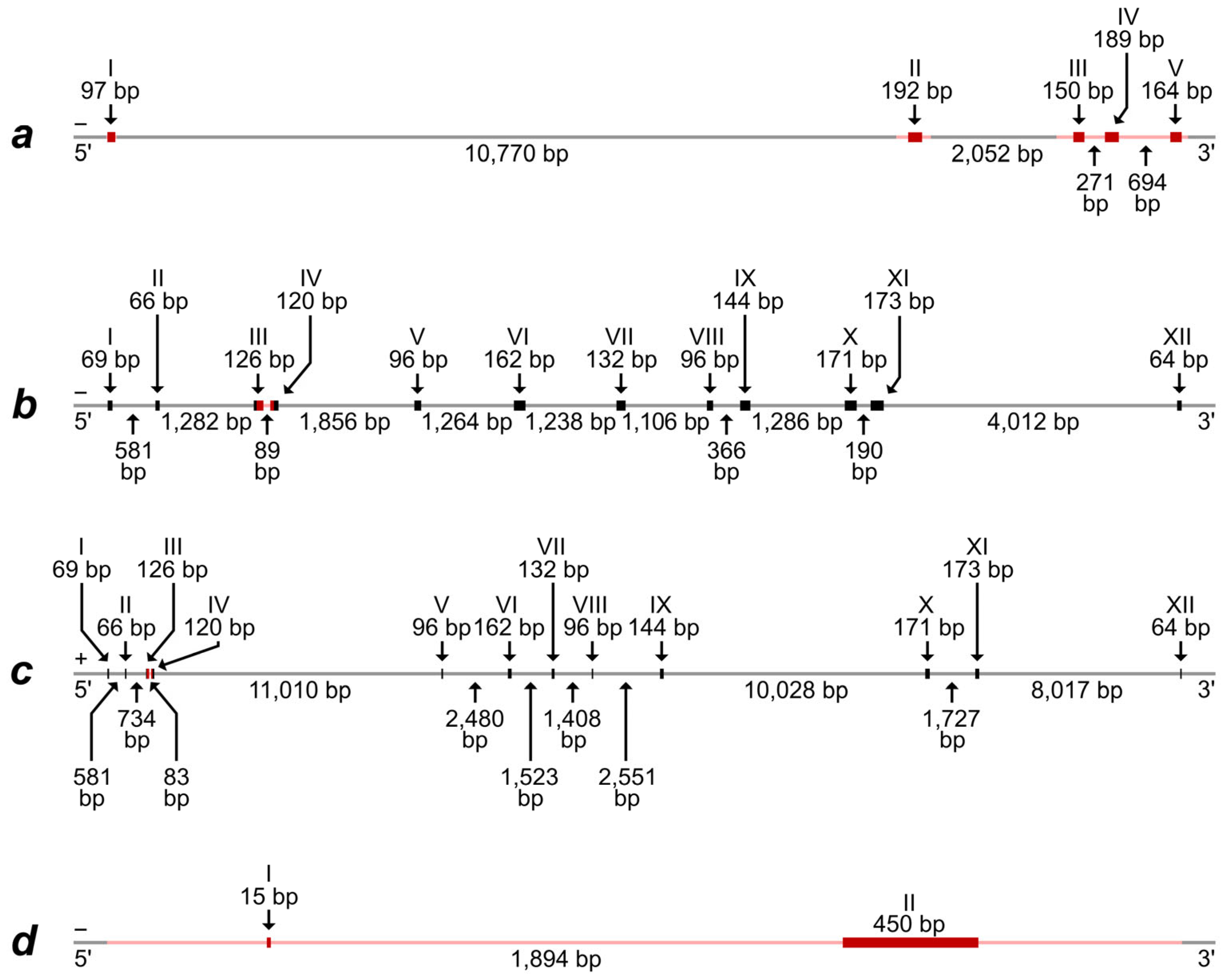 Animals 14 02180 g001 Animals 14 02180 g001