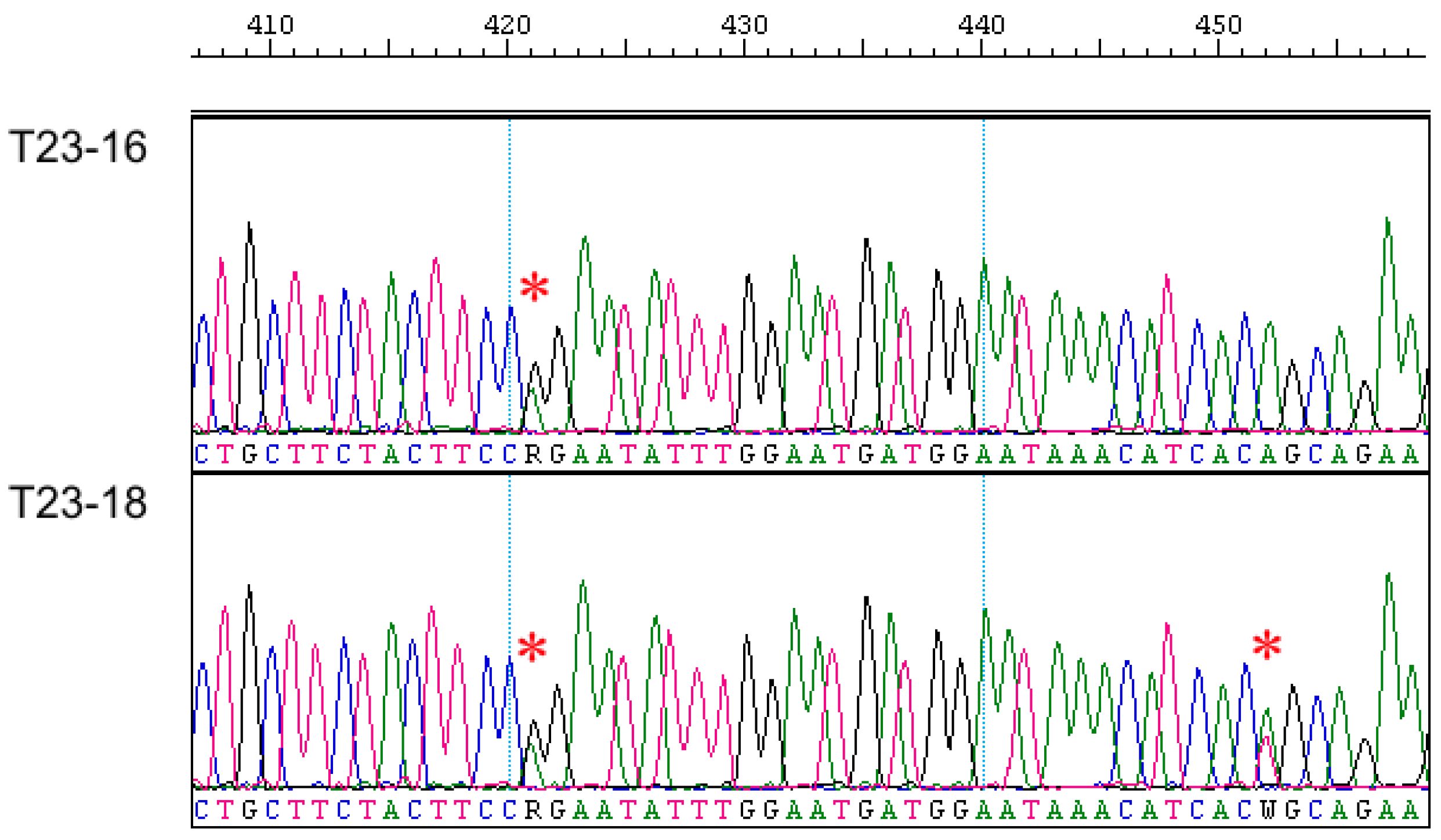 Animals 14 02180 g002 Animals 14 02180 g002