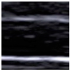 Animals 14 02189 i001