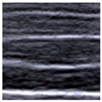 Animals 14 02189 i002