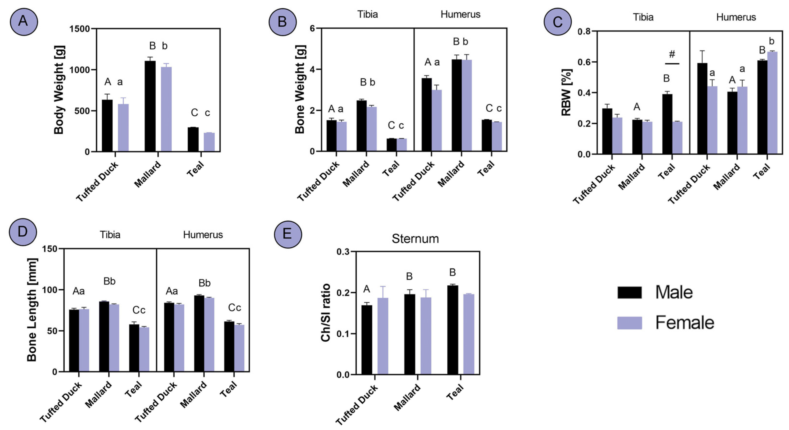 Animals 14 02191 g002