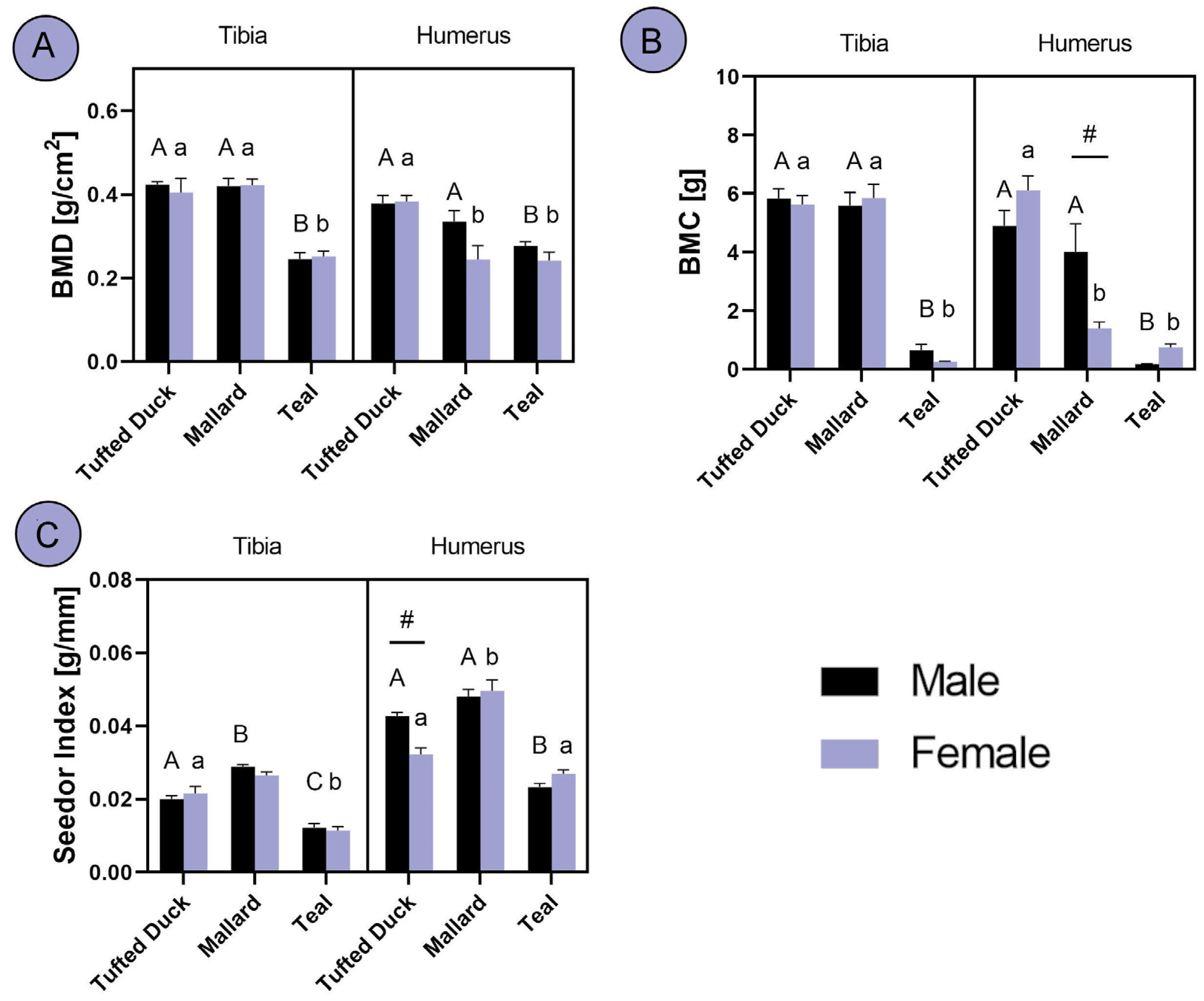 Animals 14 02191 g003