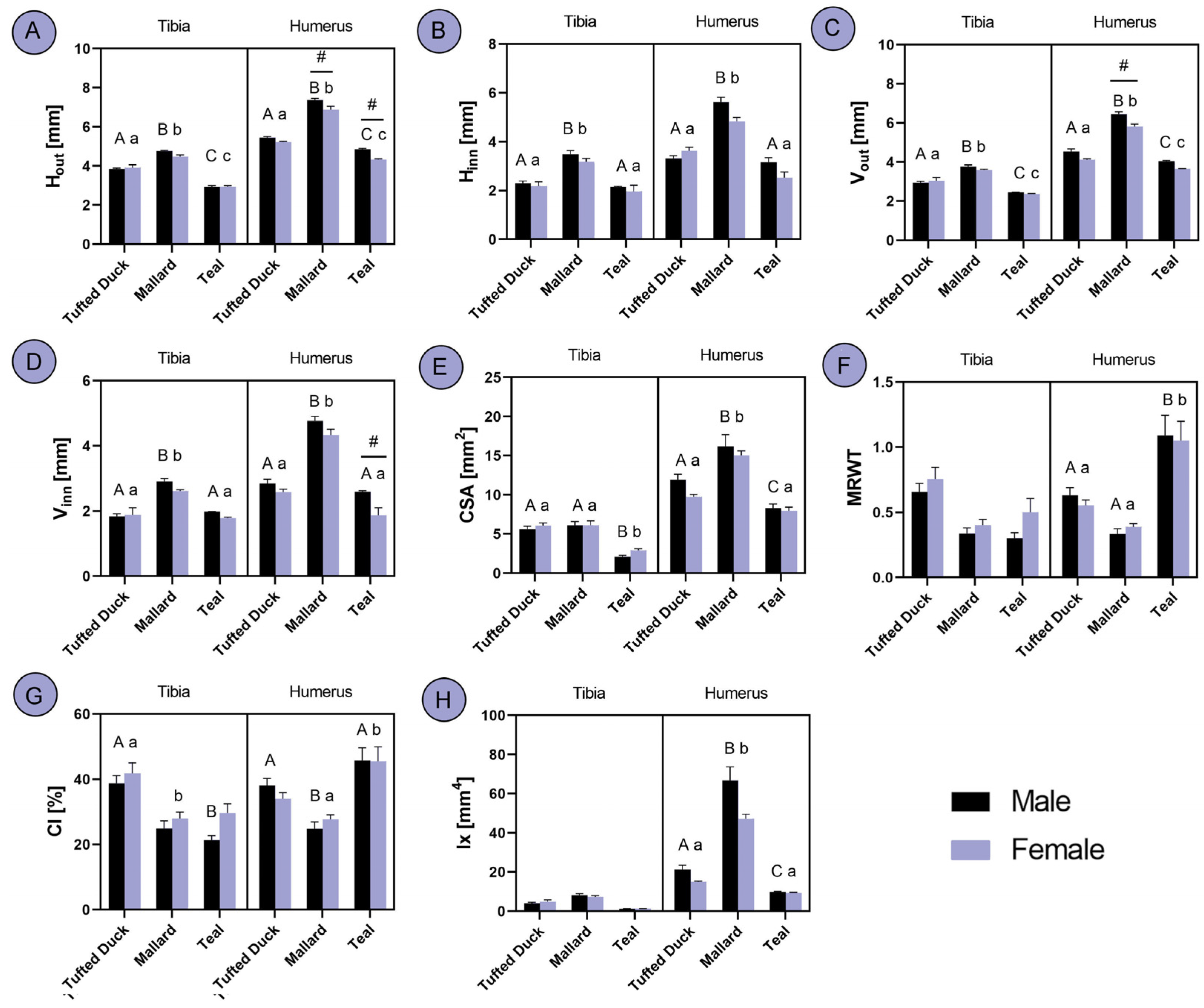 Animals 14 02191 g004