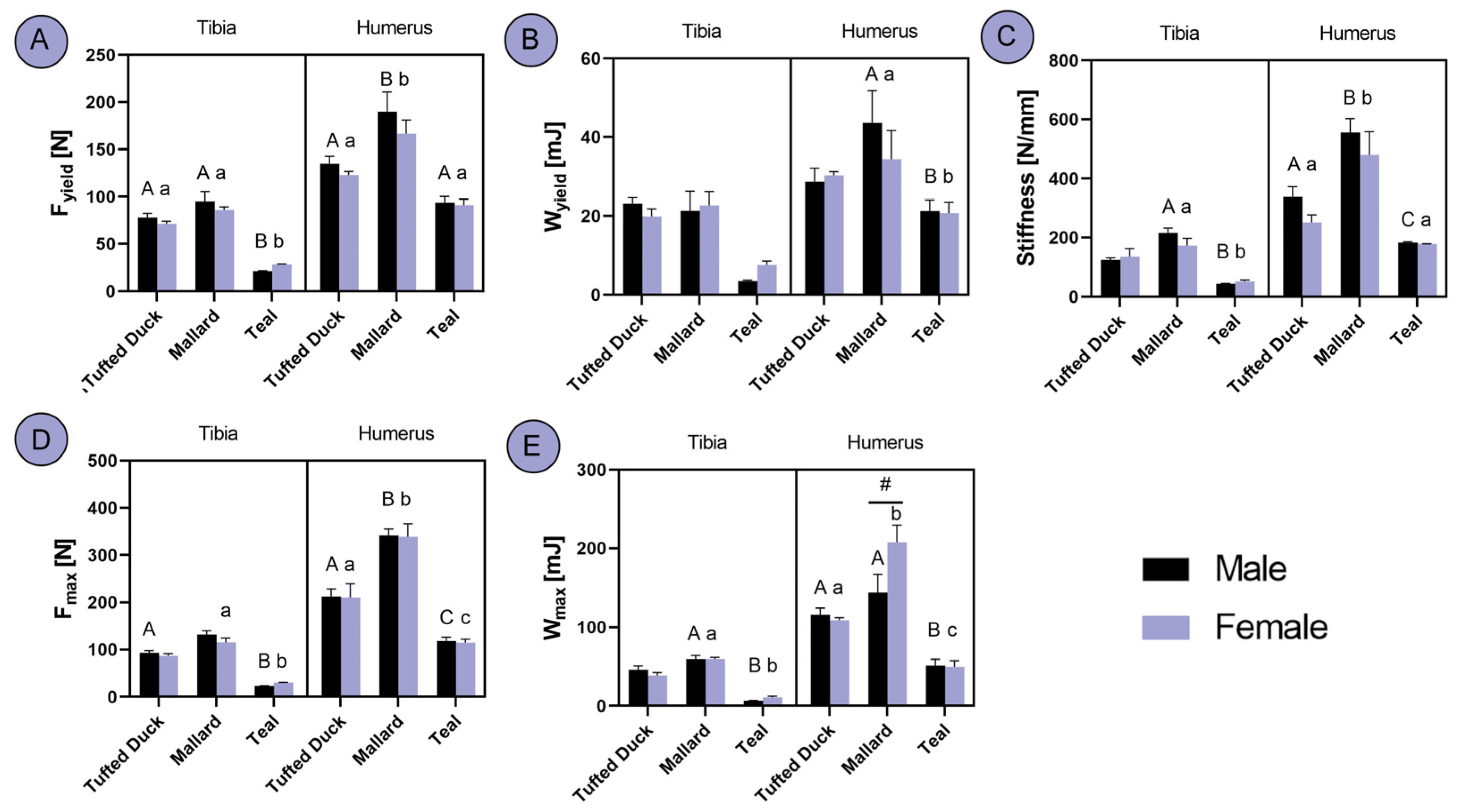 Animals 14 02191 g005