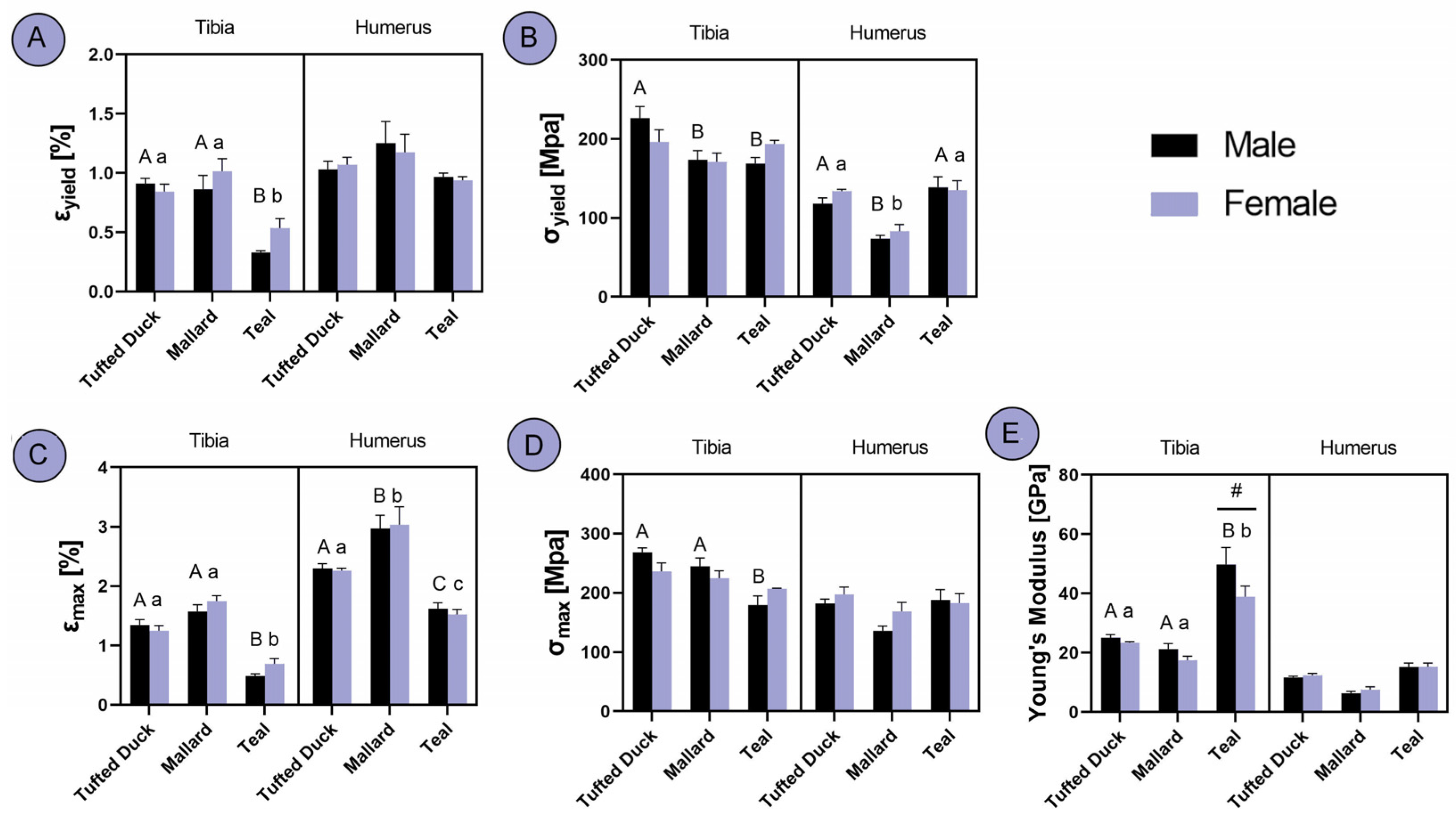 Animals 14 02191 g006