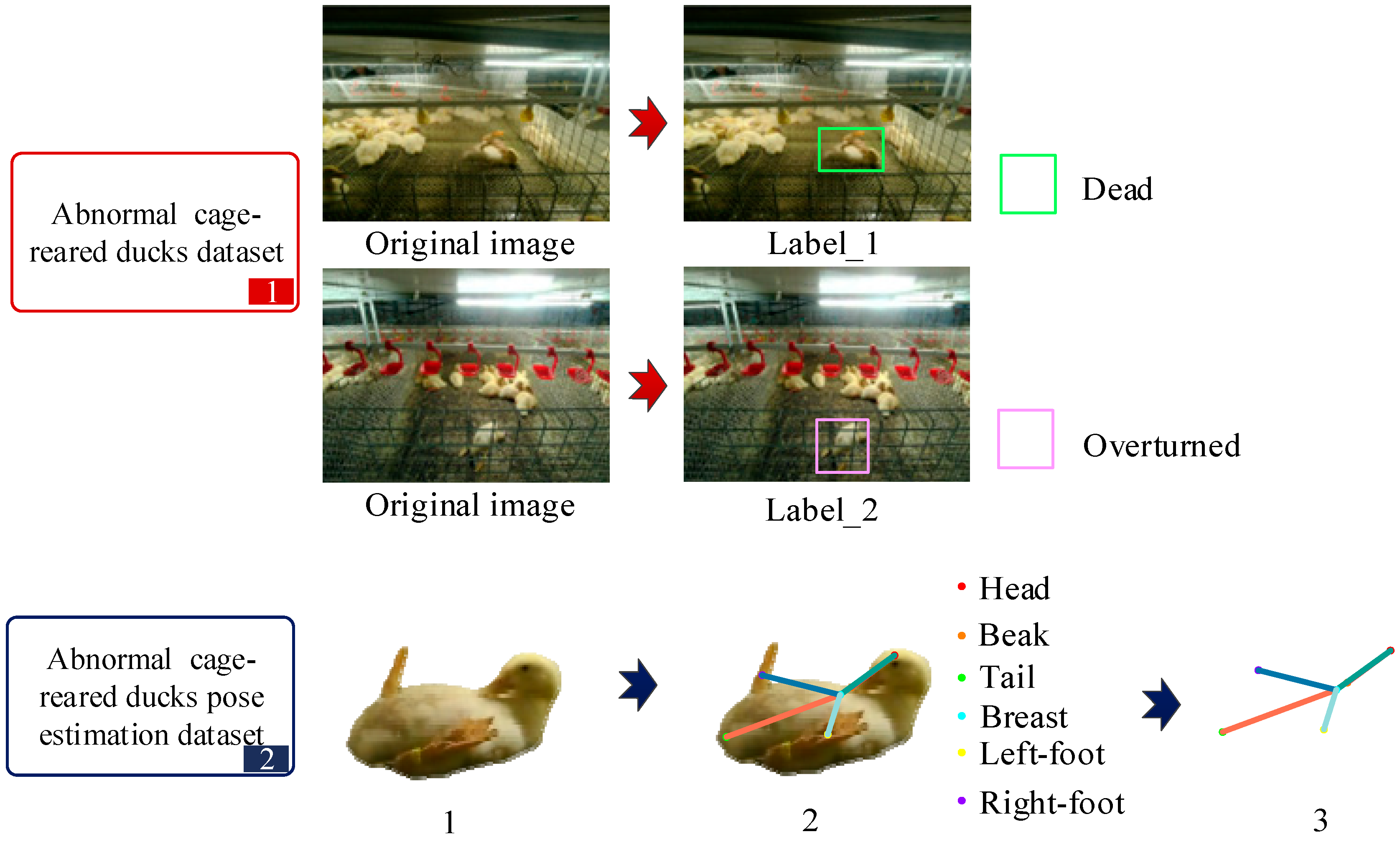 Animals 14 02192 g003