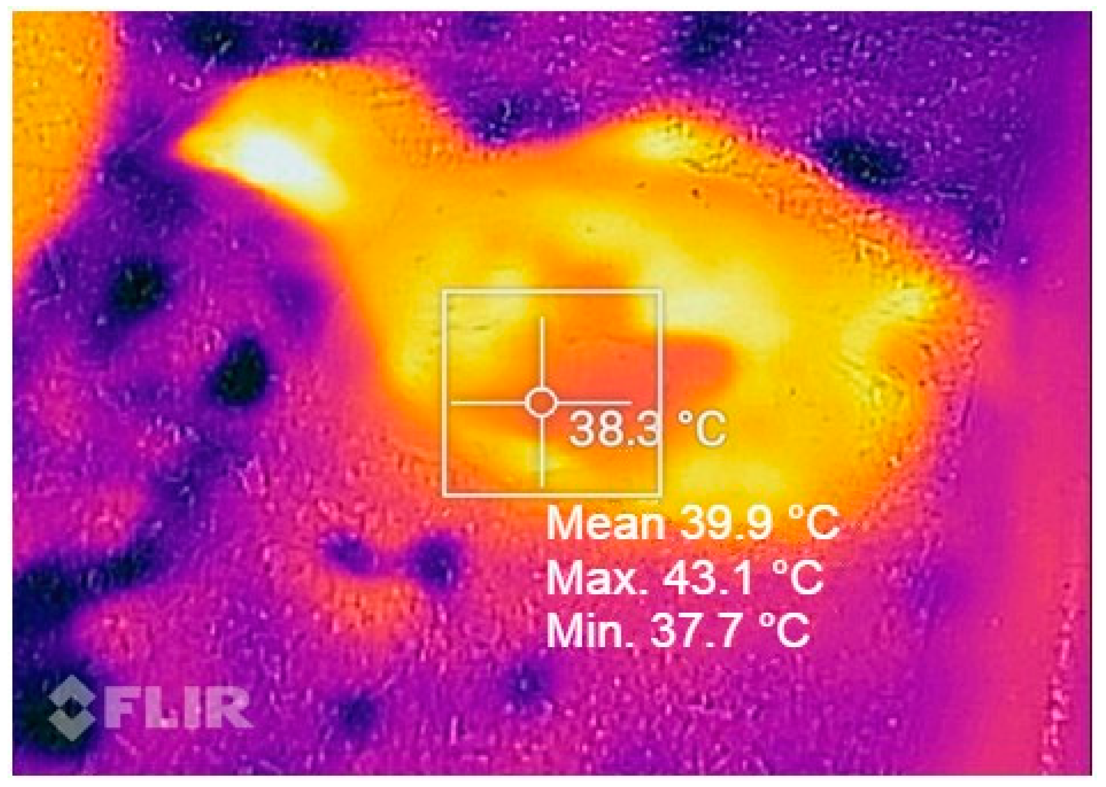 Animals 14 02195 g001