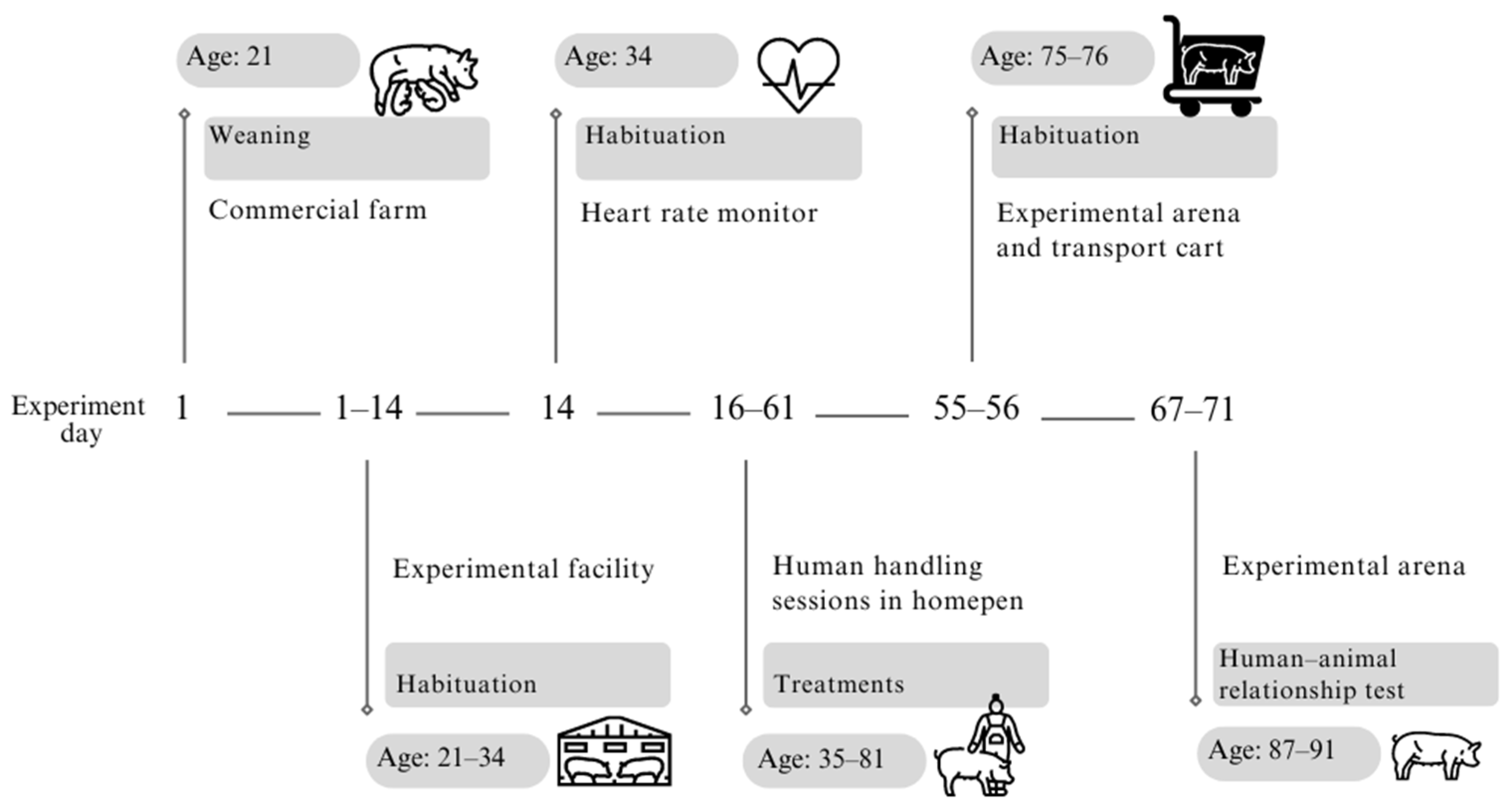 Animals 14 02217 g001