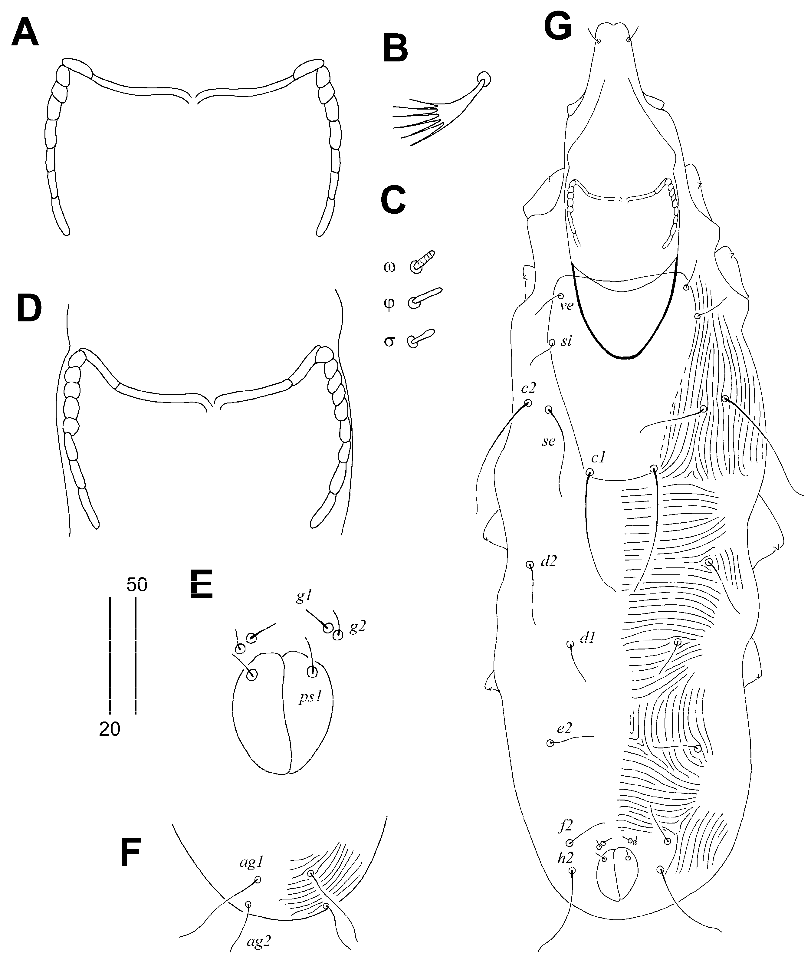 Animals 14 02239 g002