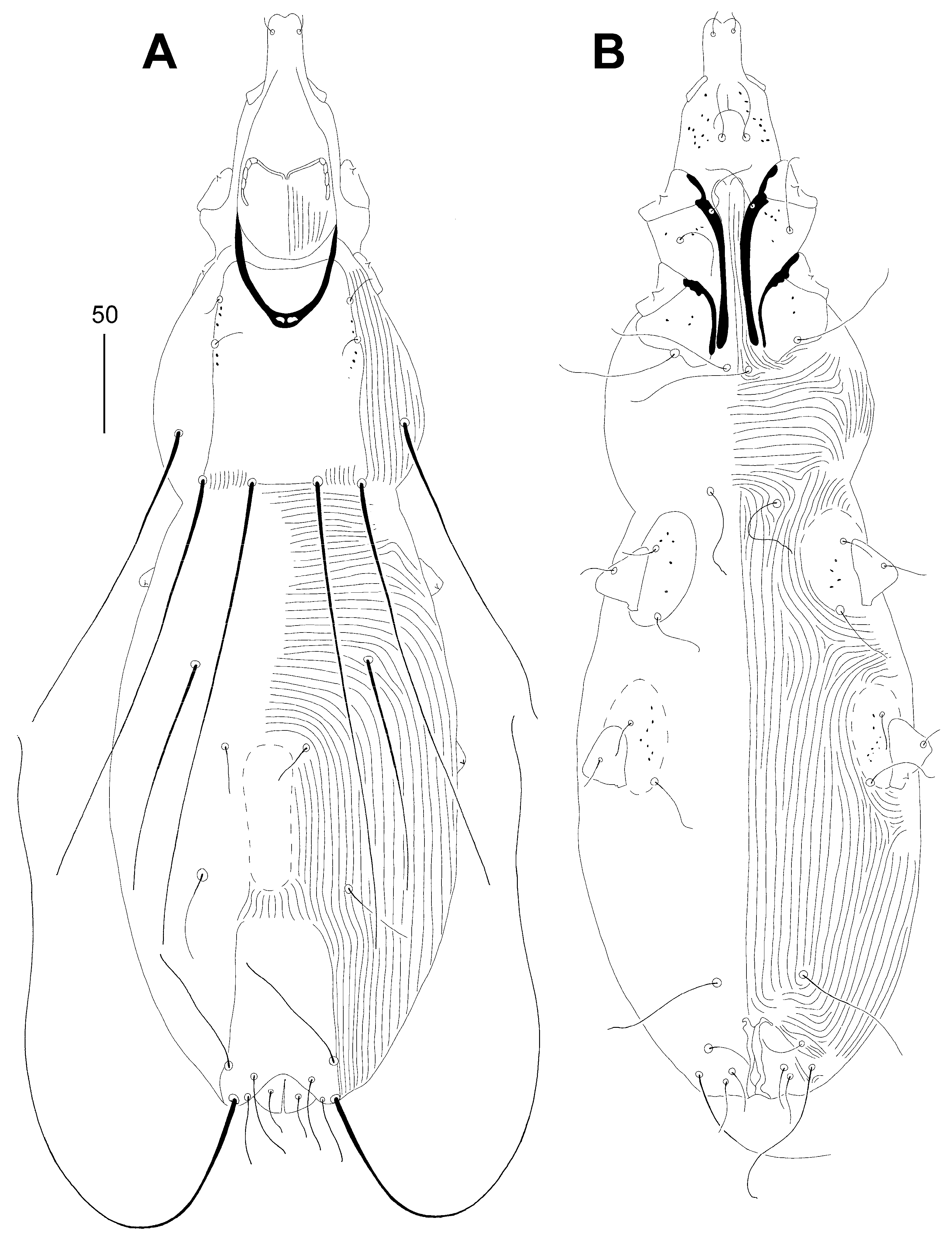 Animals 14 02239 g003