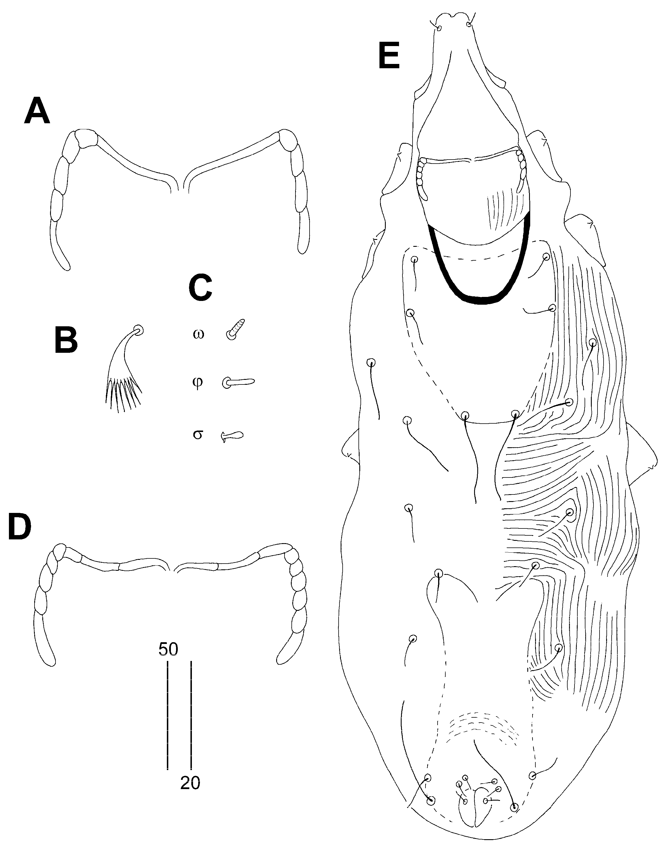 Animals 14 02239 g004
