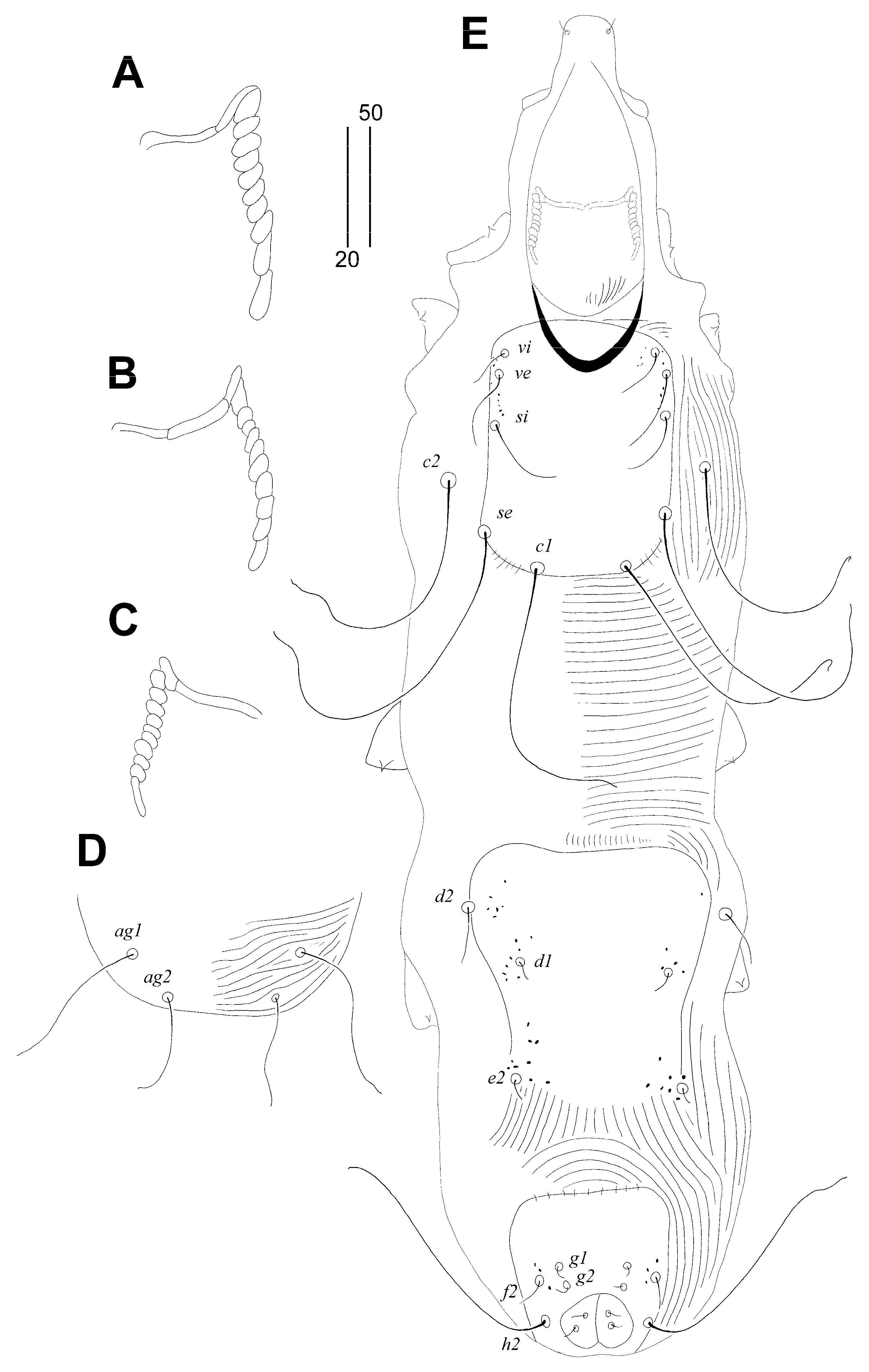 Animals 14 02239 g006