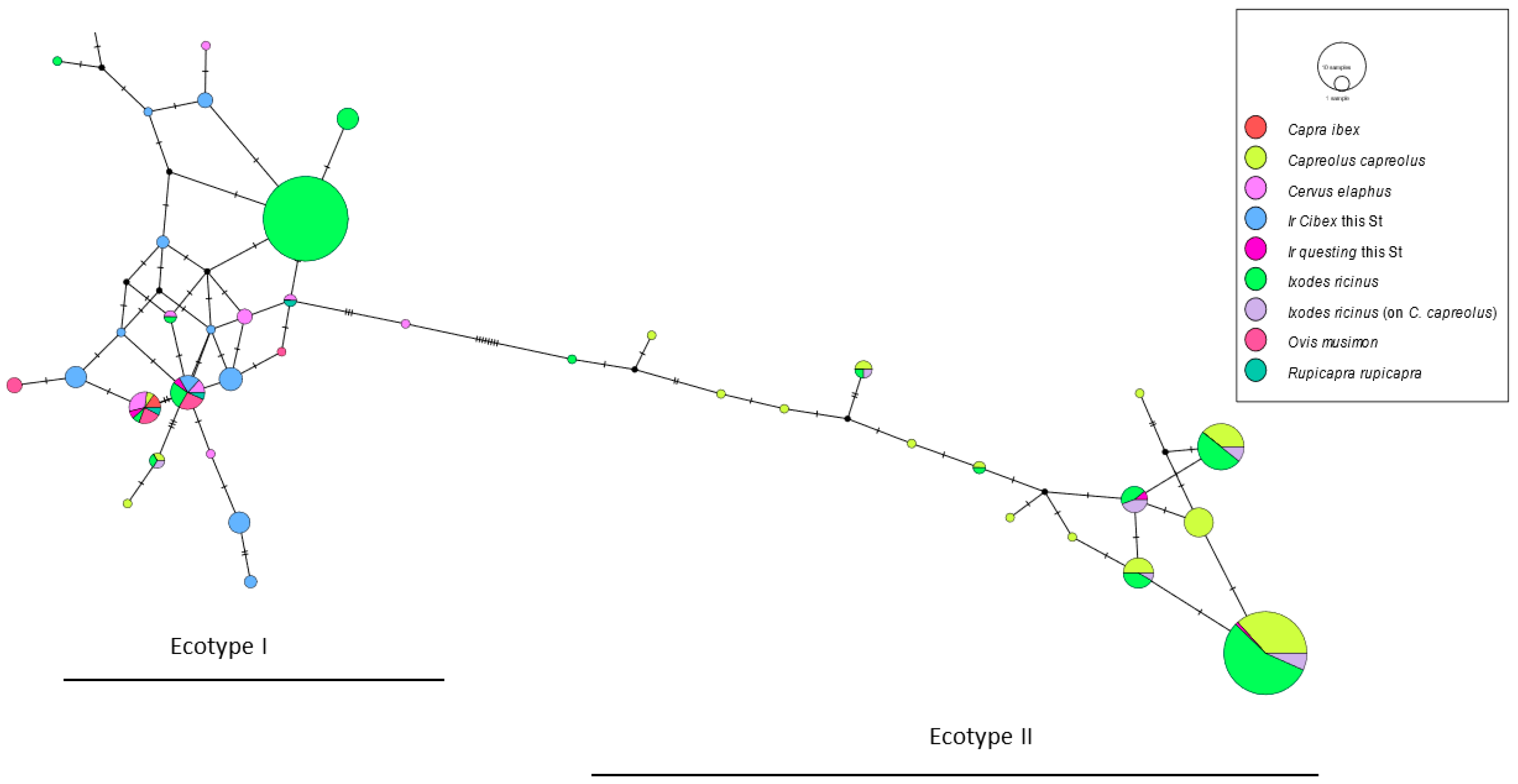 Animals 14 02251 g002