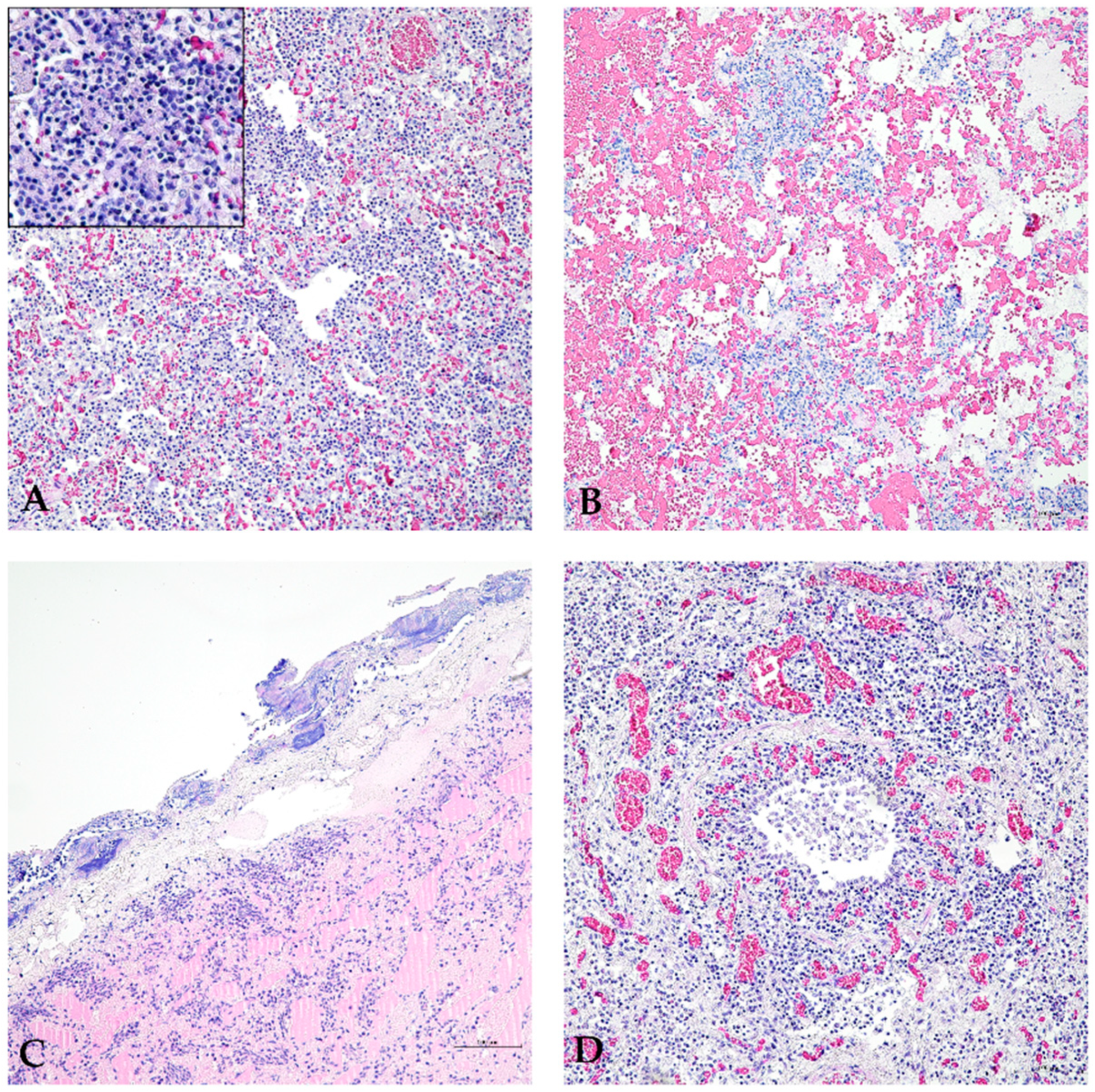 Animals 14 02255 g005