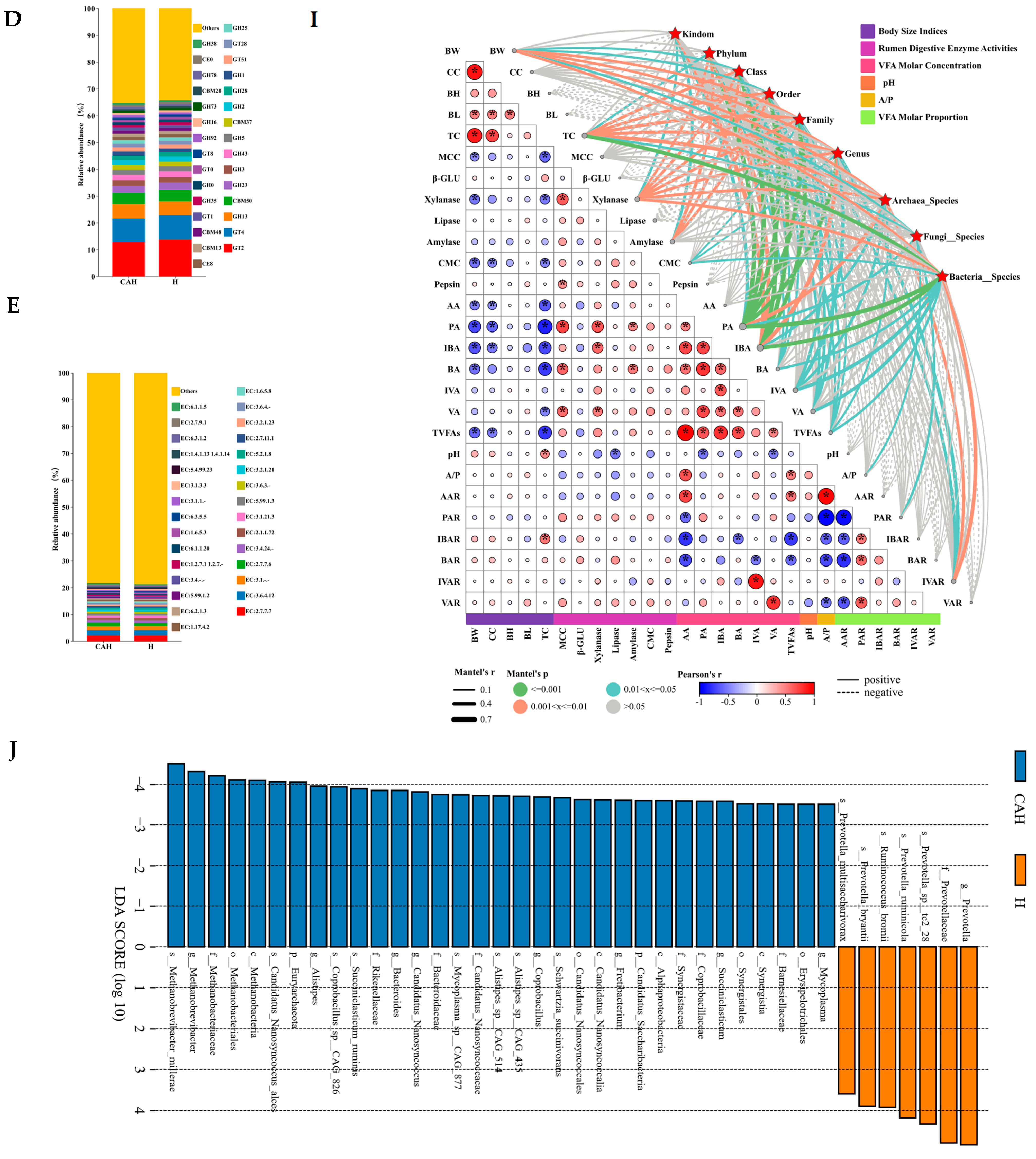 Animals 14 02256 g002b