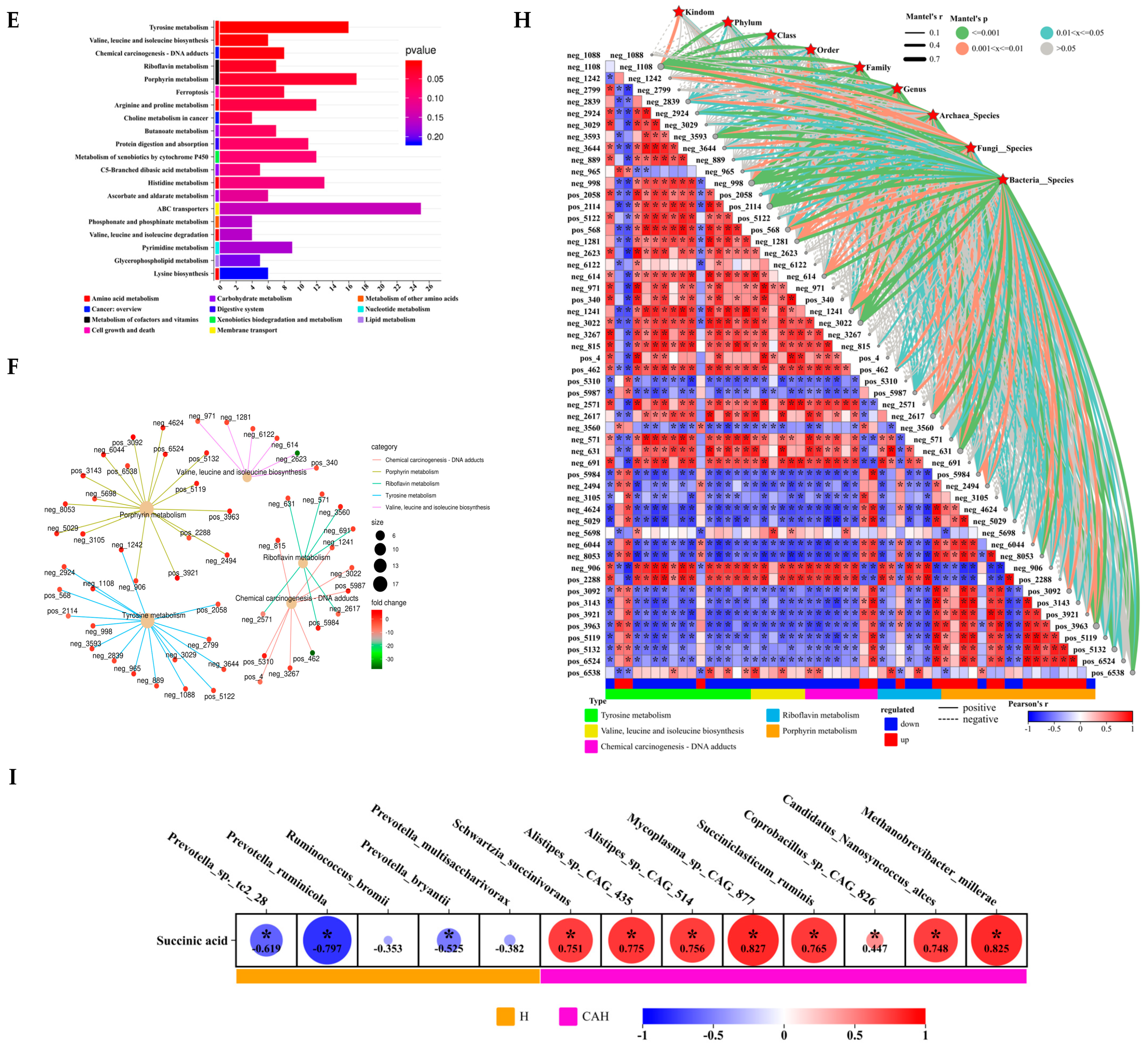 Animals 14 02256 g003b