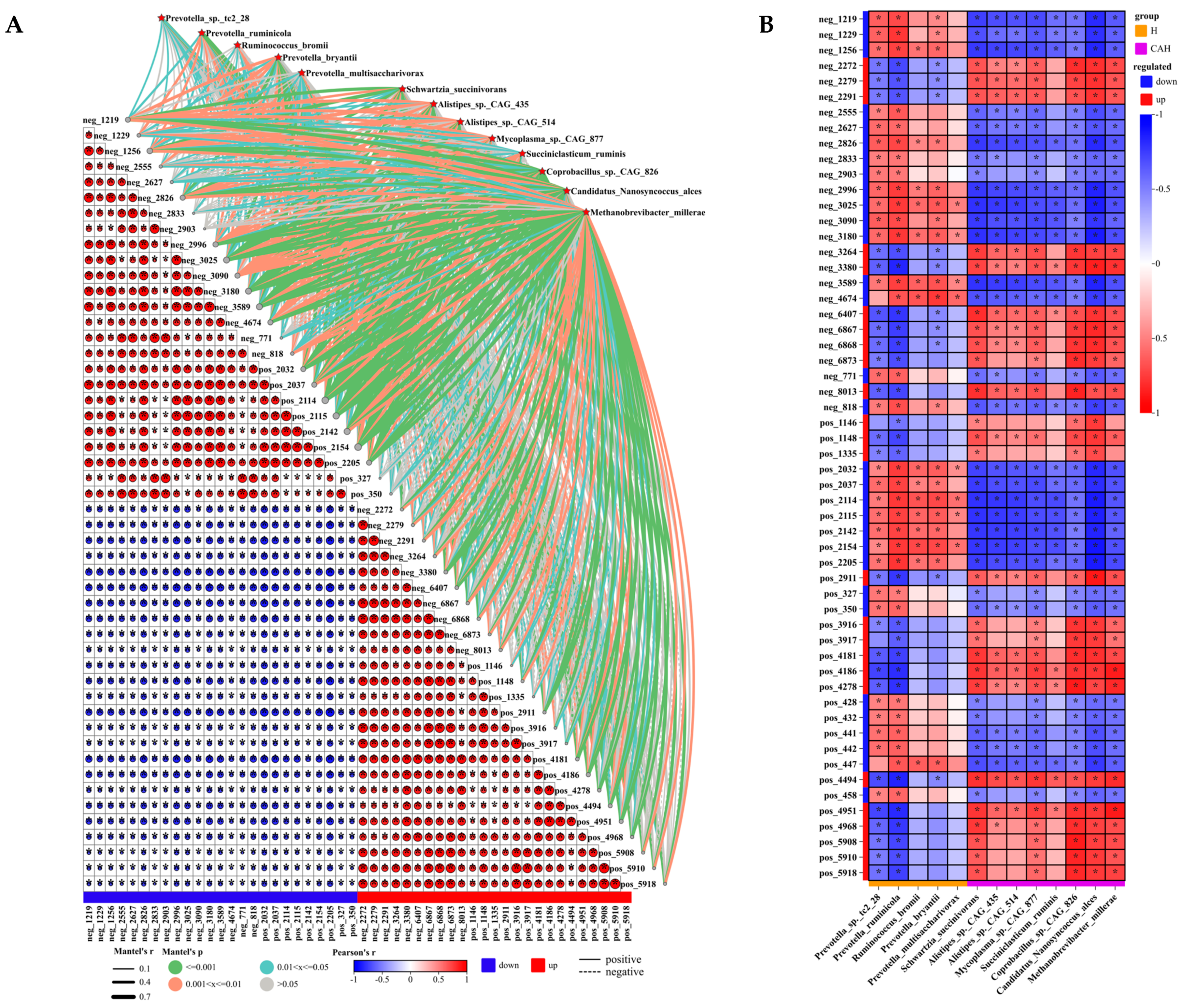 Animals 14 02256 g004