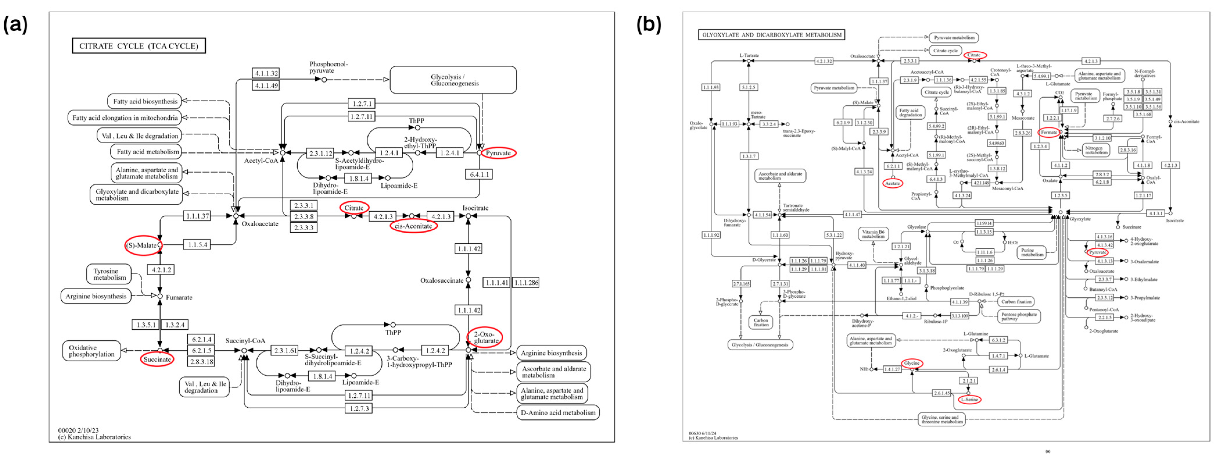 Animals 14 02264 g003