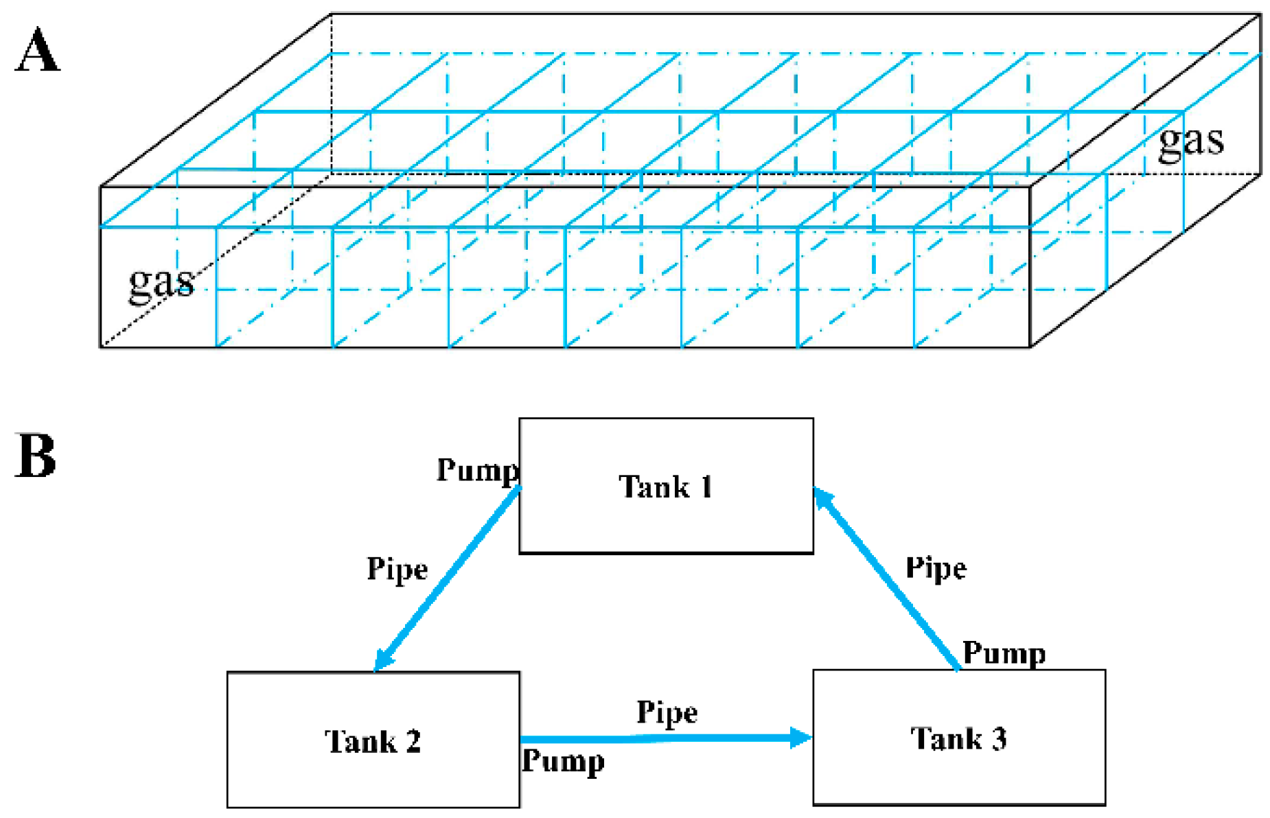 Animals 14 02267 g001