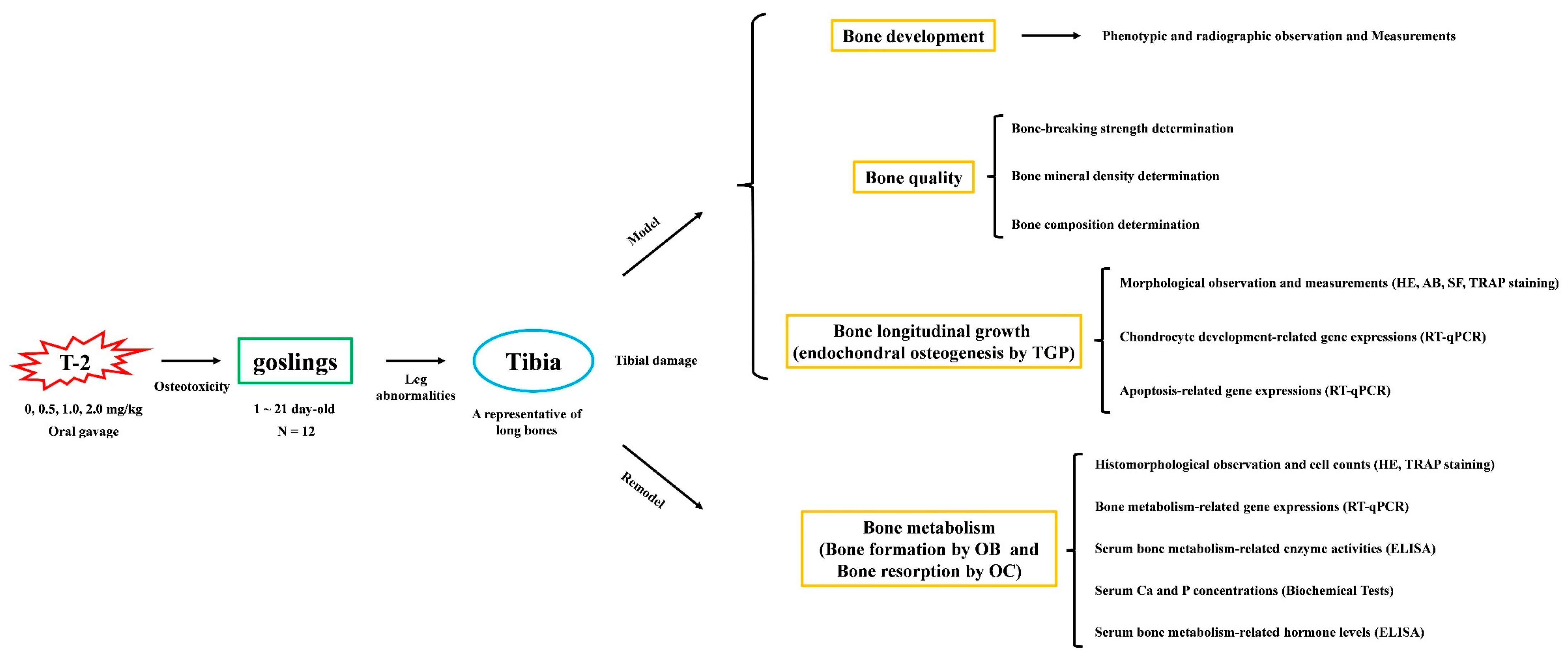 Animals 14 02281 g001