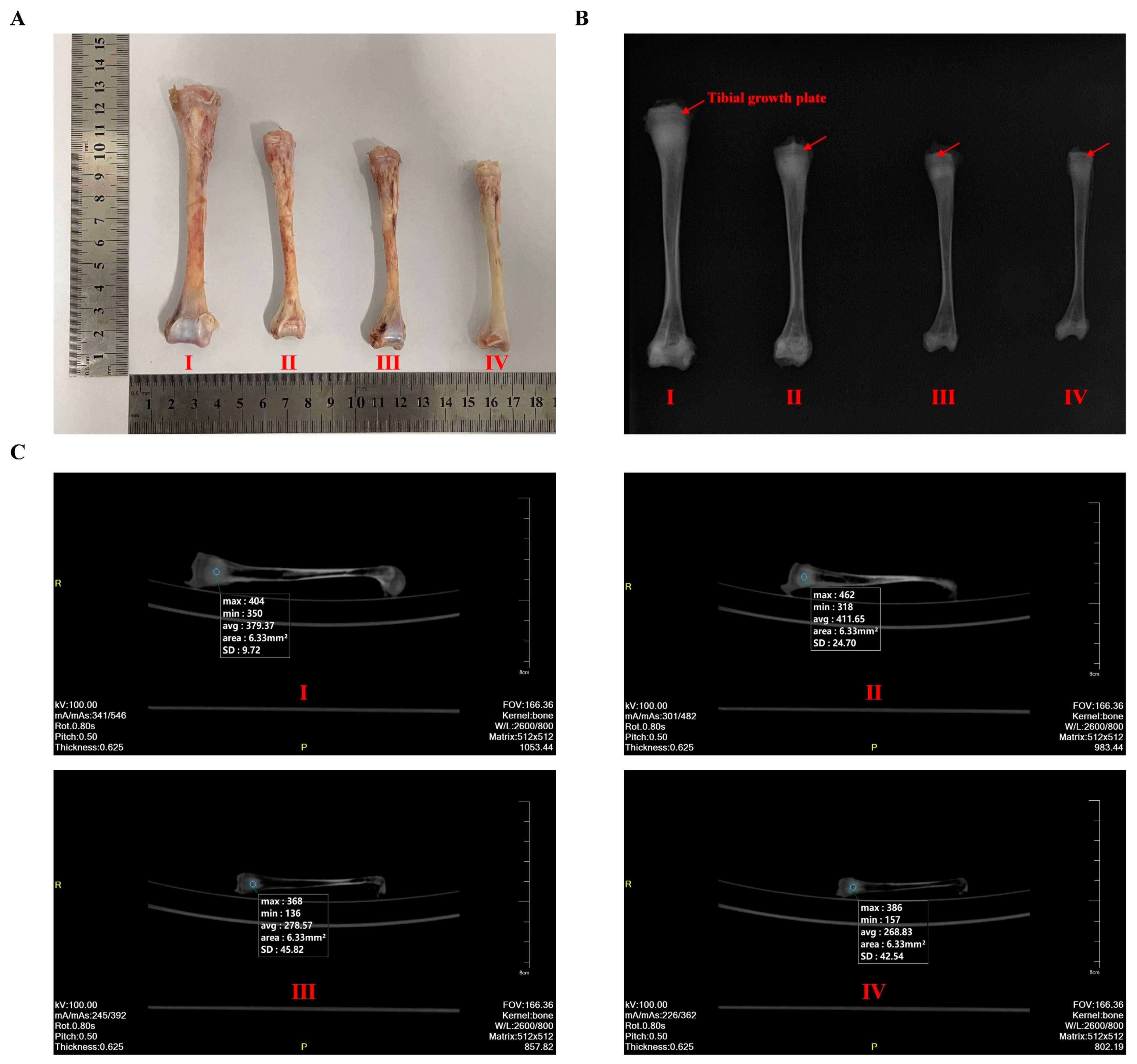 Animals 14 02281 g002