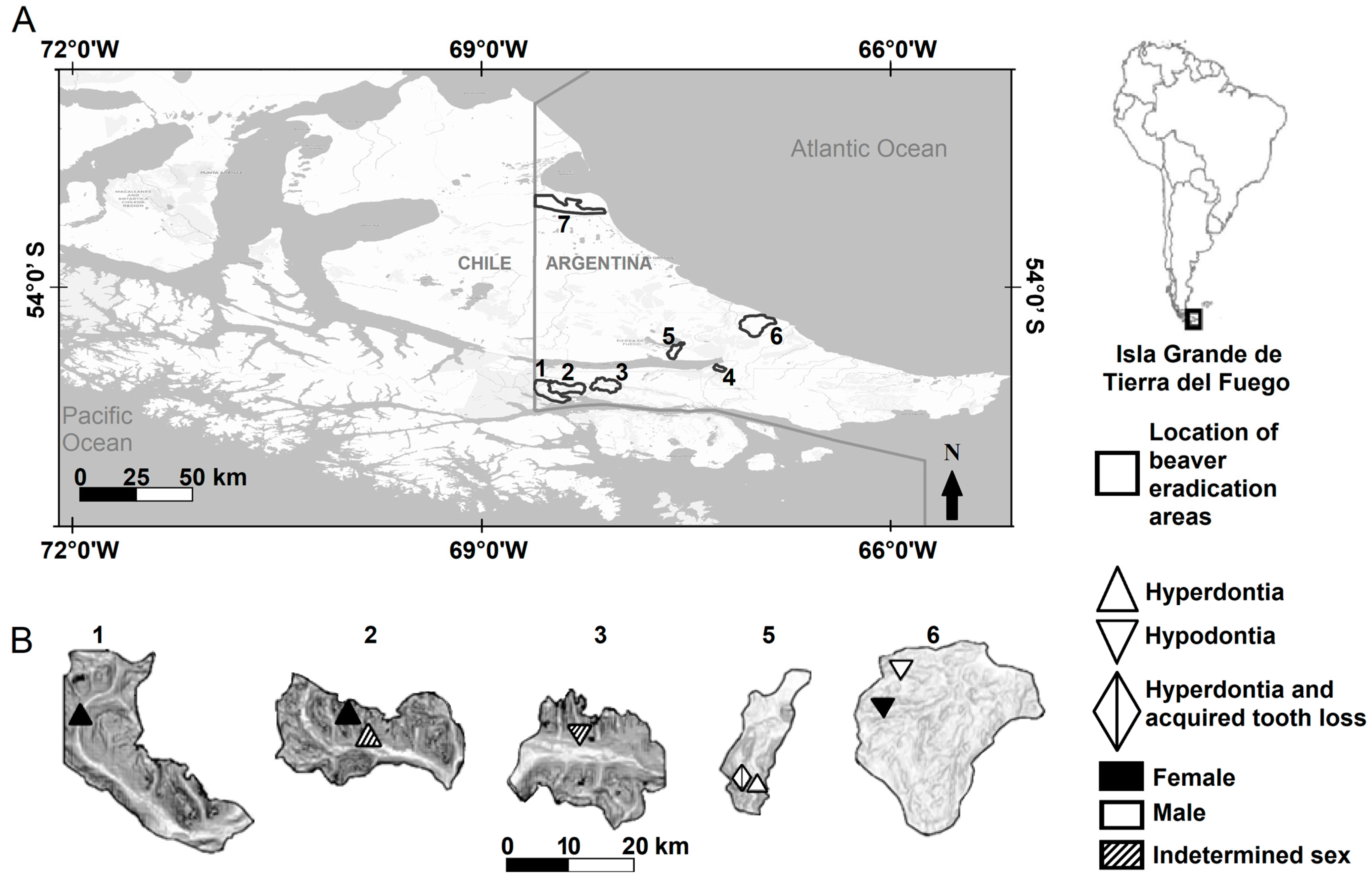 Animals 14 02285 g001