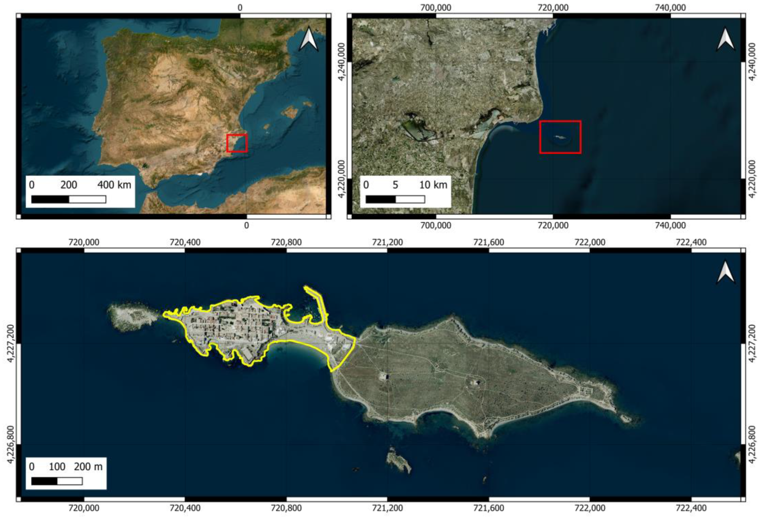 Animals 14 02288 g001