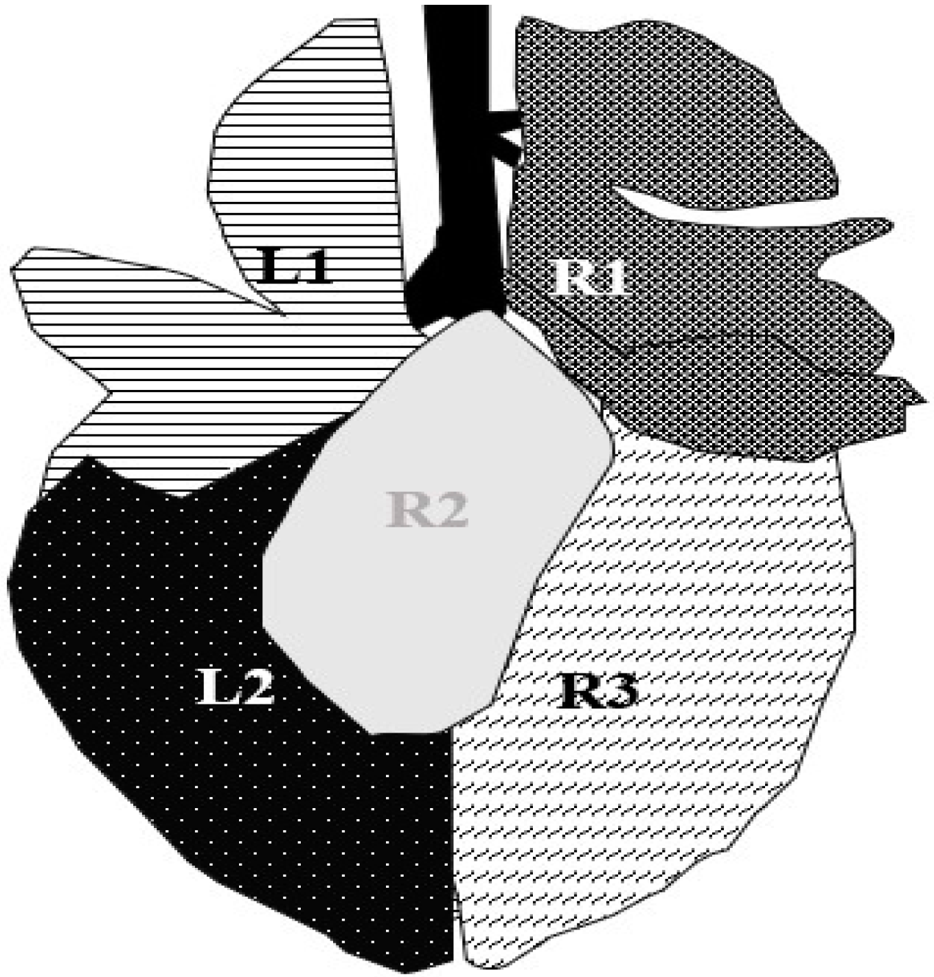Animals 14 02311 g001