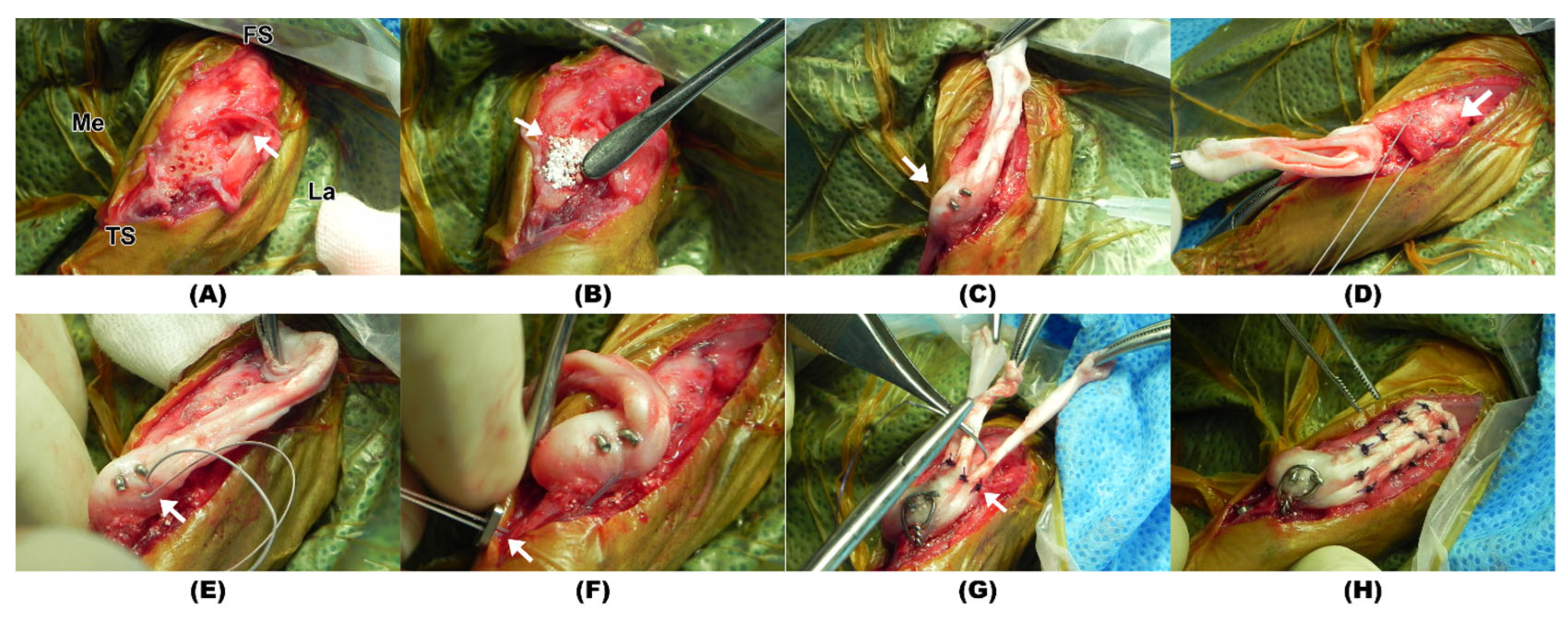 Animals 14 02315 g003