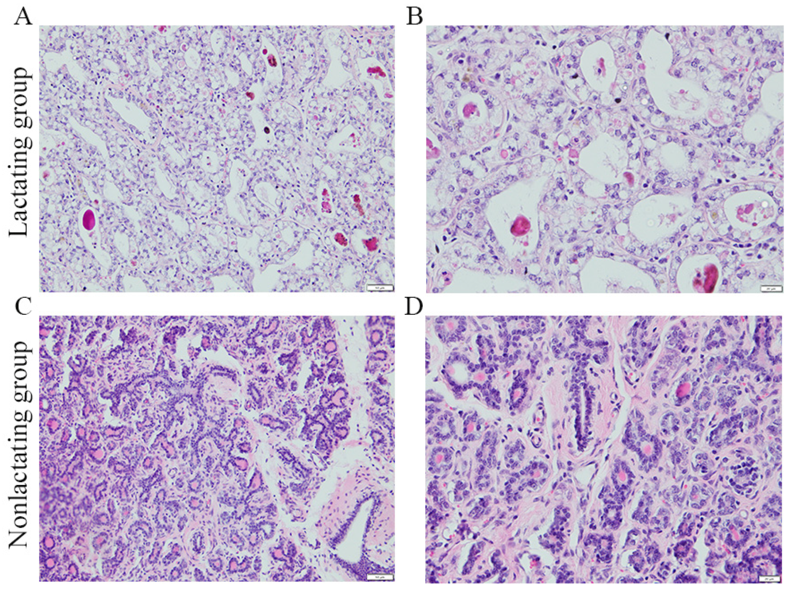 Animals 14 02319 g001