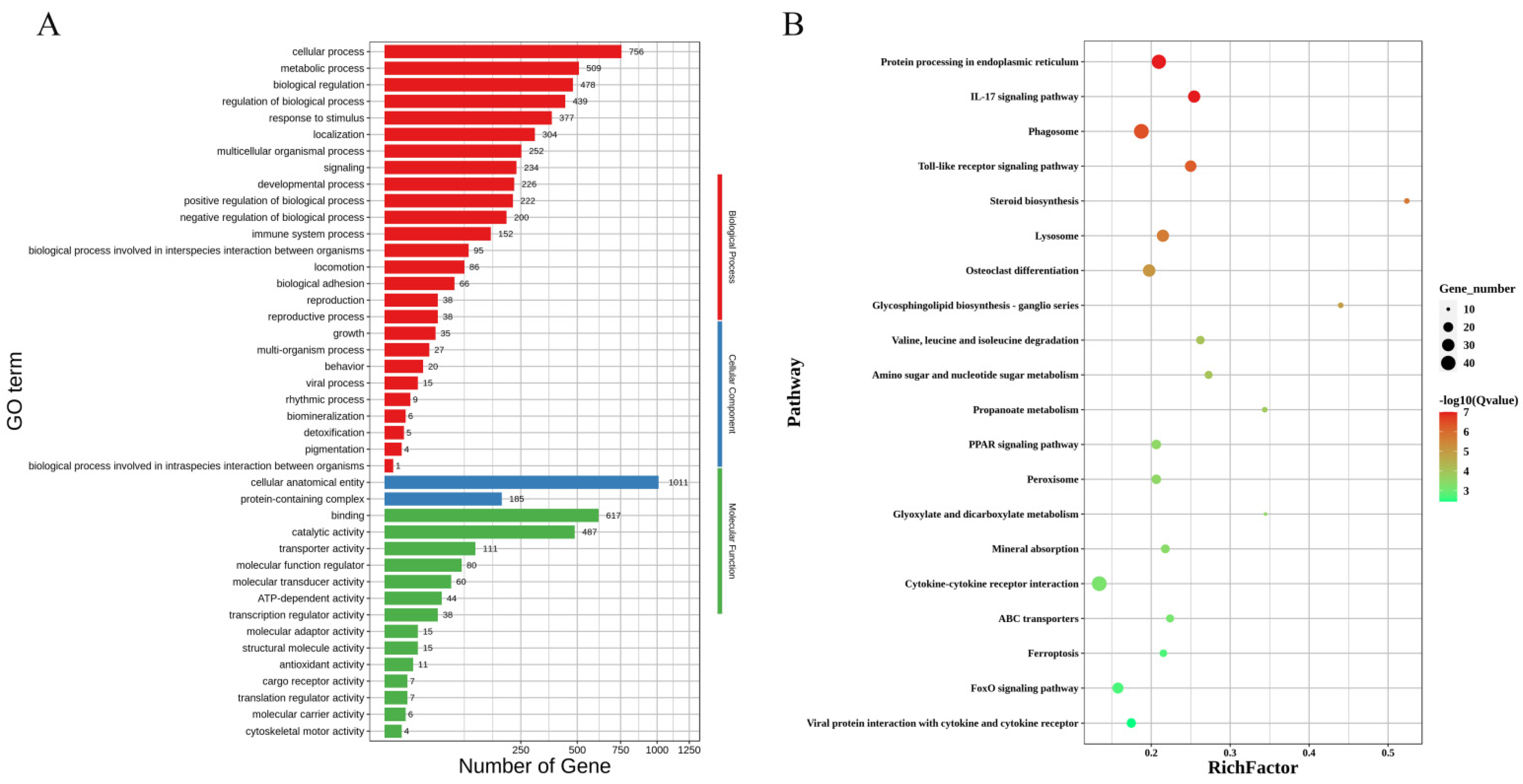 Animals 14 02319 g003