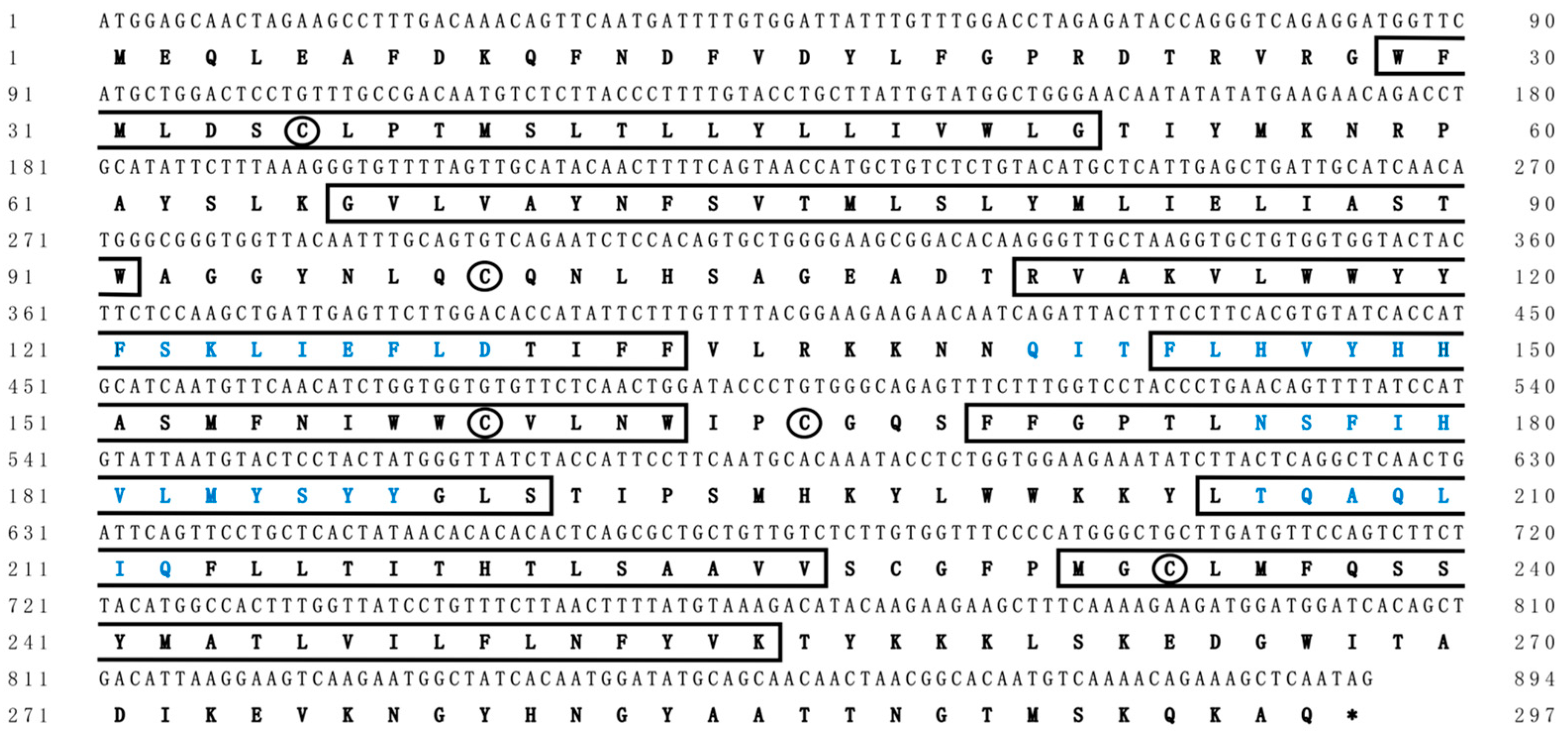 Animals 14 02343 g002