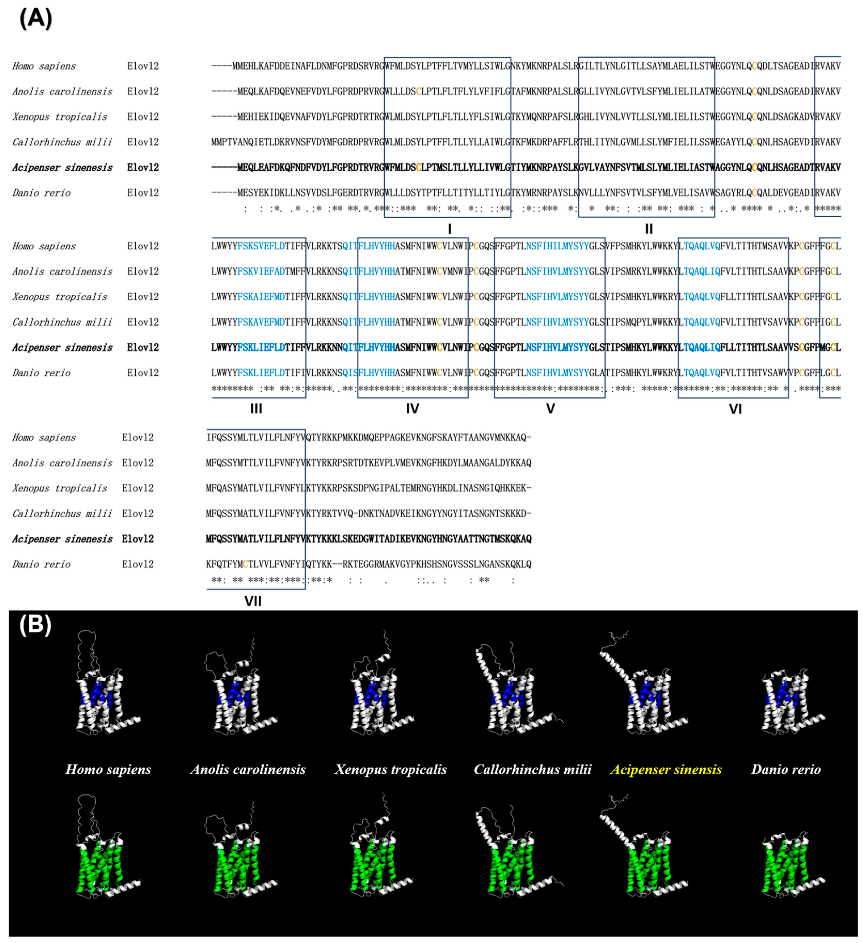 Animals 14 02343 g003