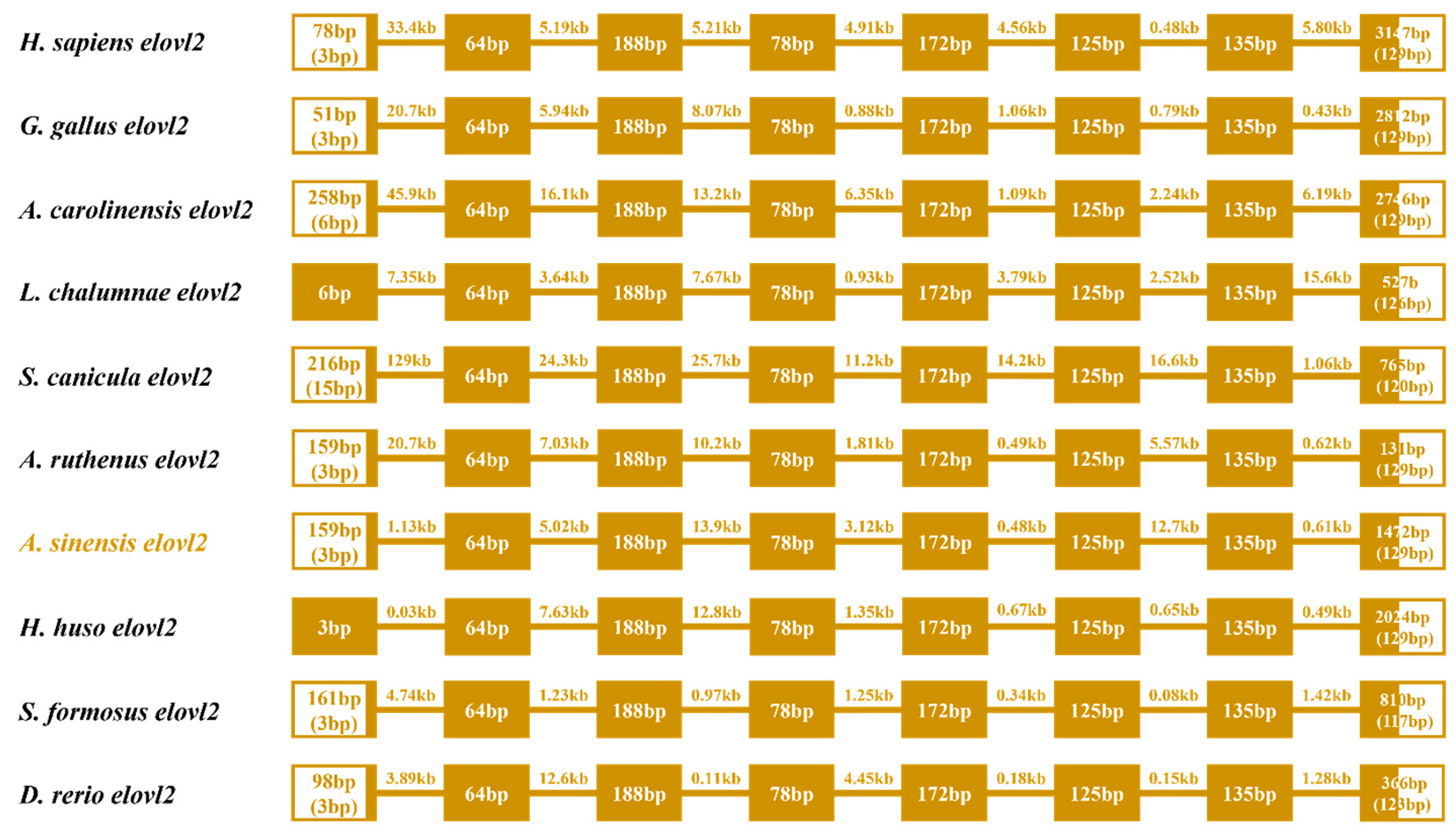 Animals 14 02343 g005