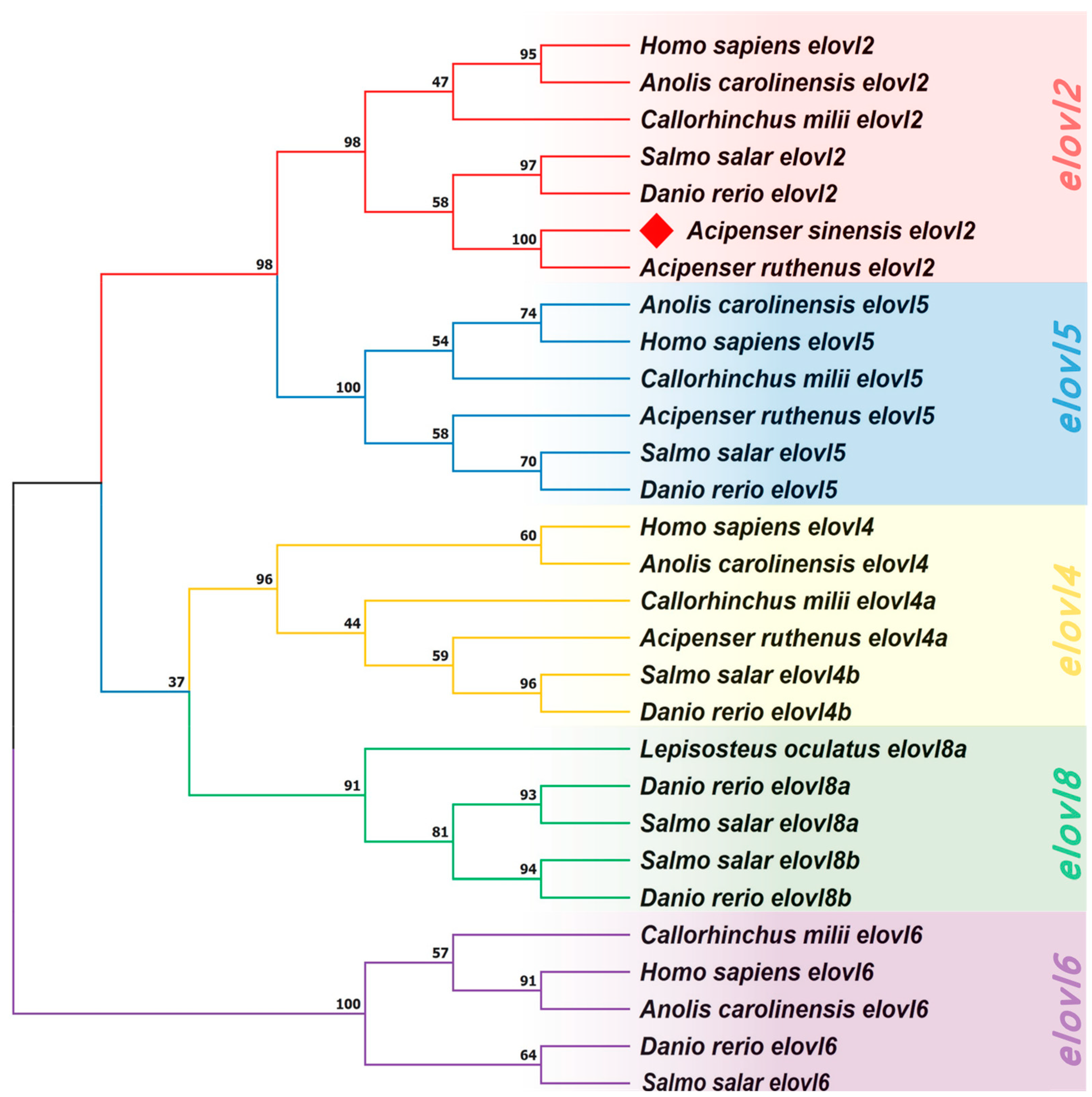 Animals 14 02343 g006