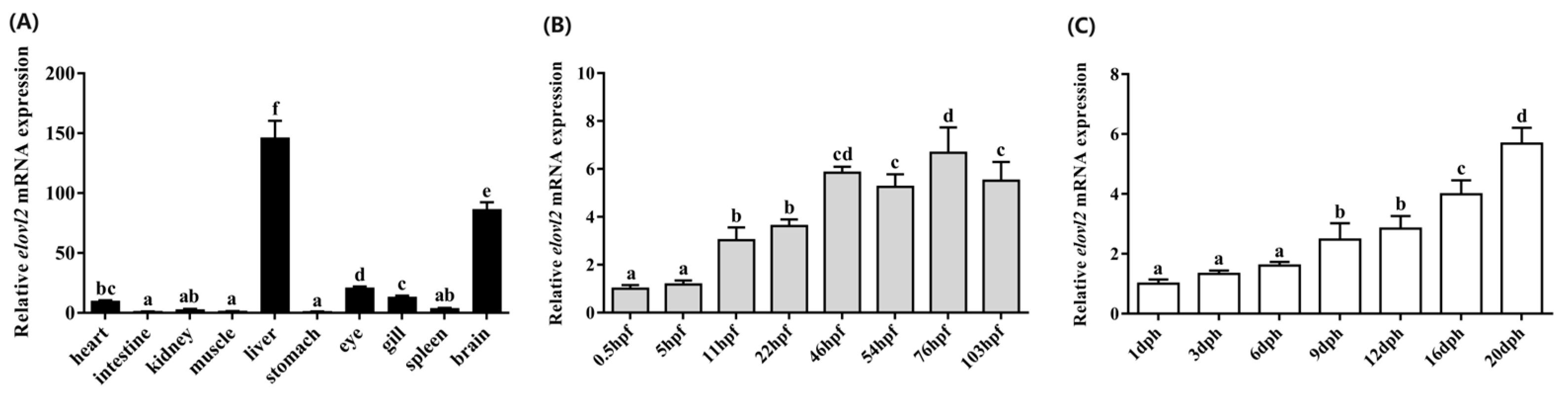 Animals 14 02343 g007