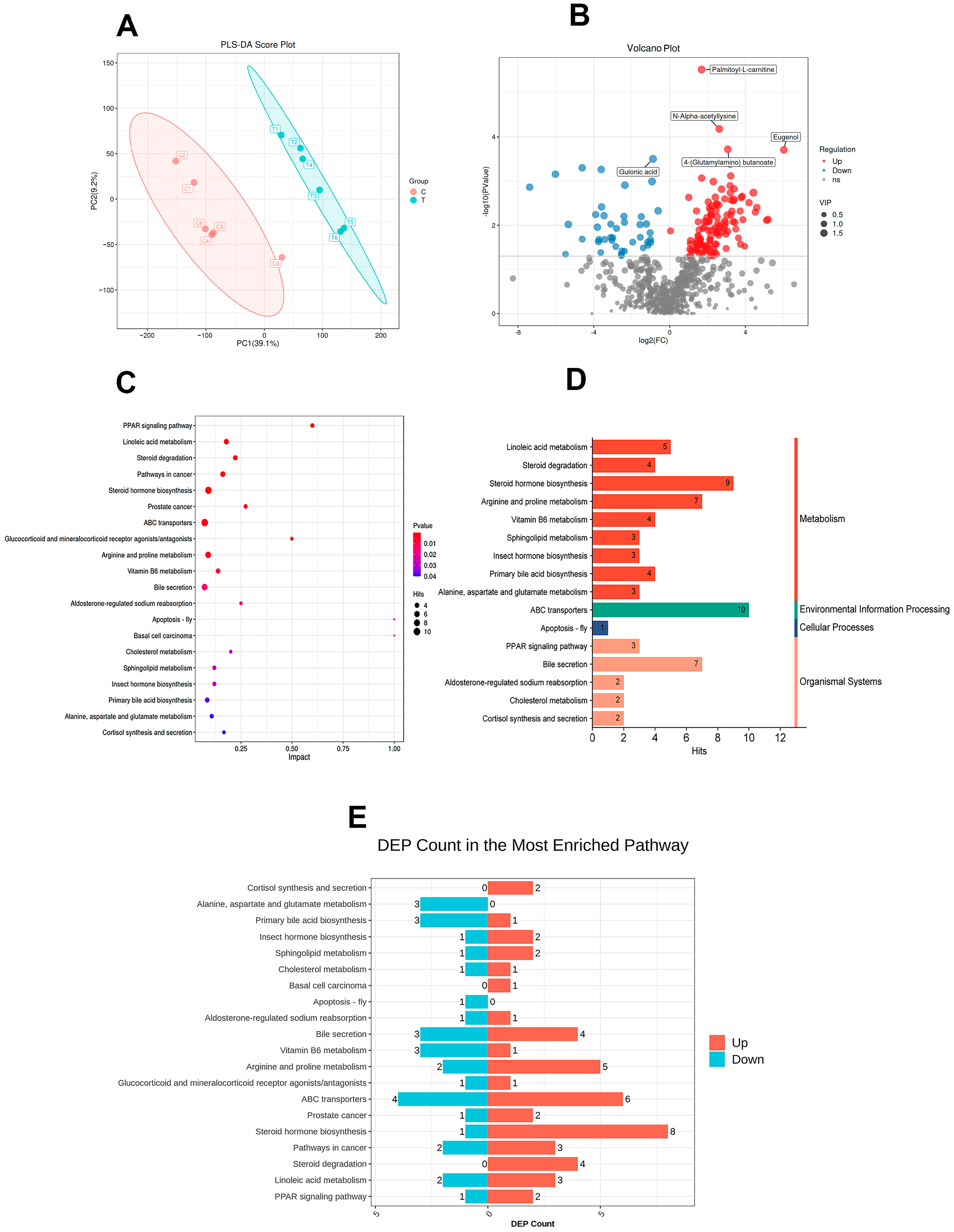 Animals 14 02346 g006