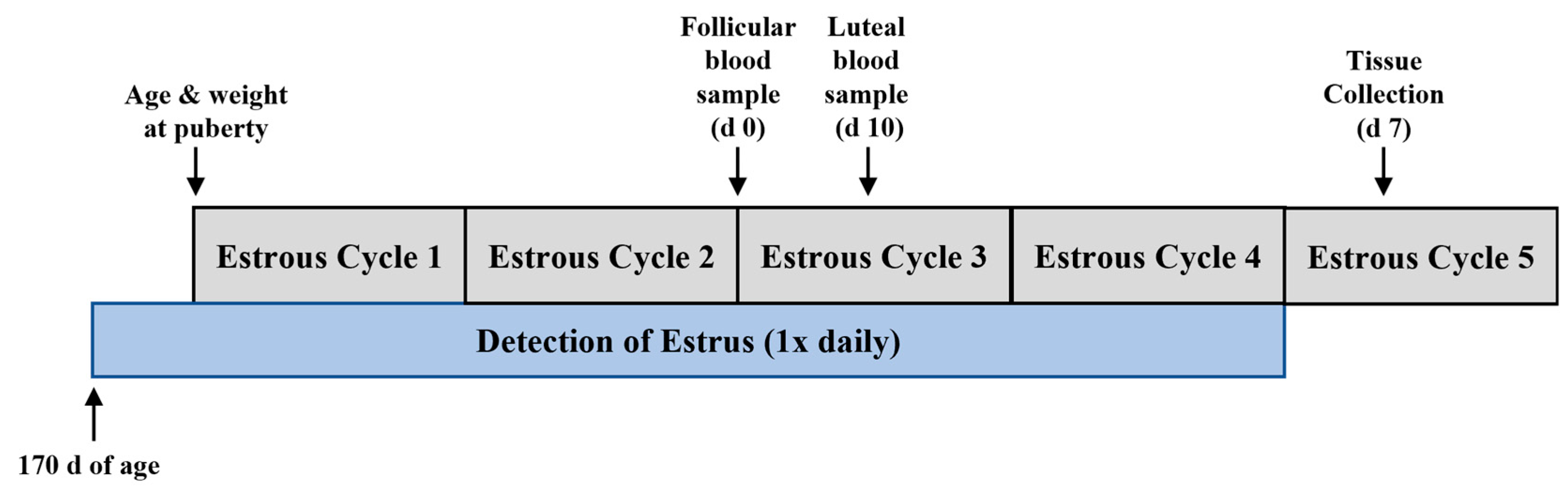 Animals 14 02350 g001