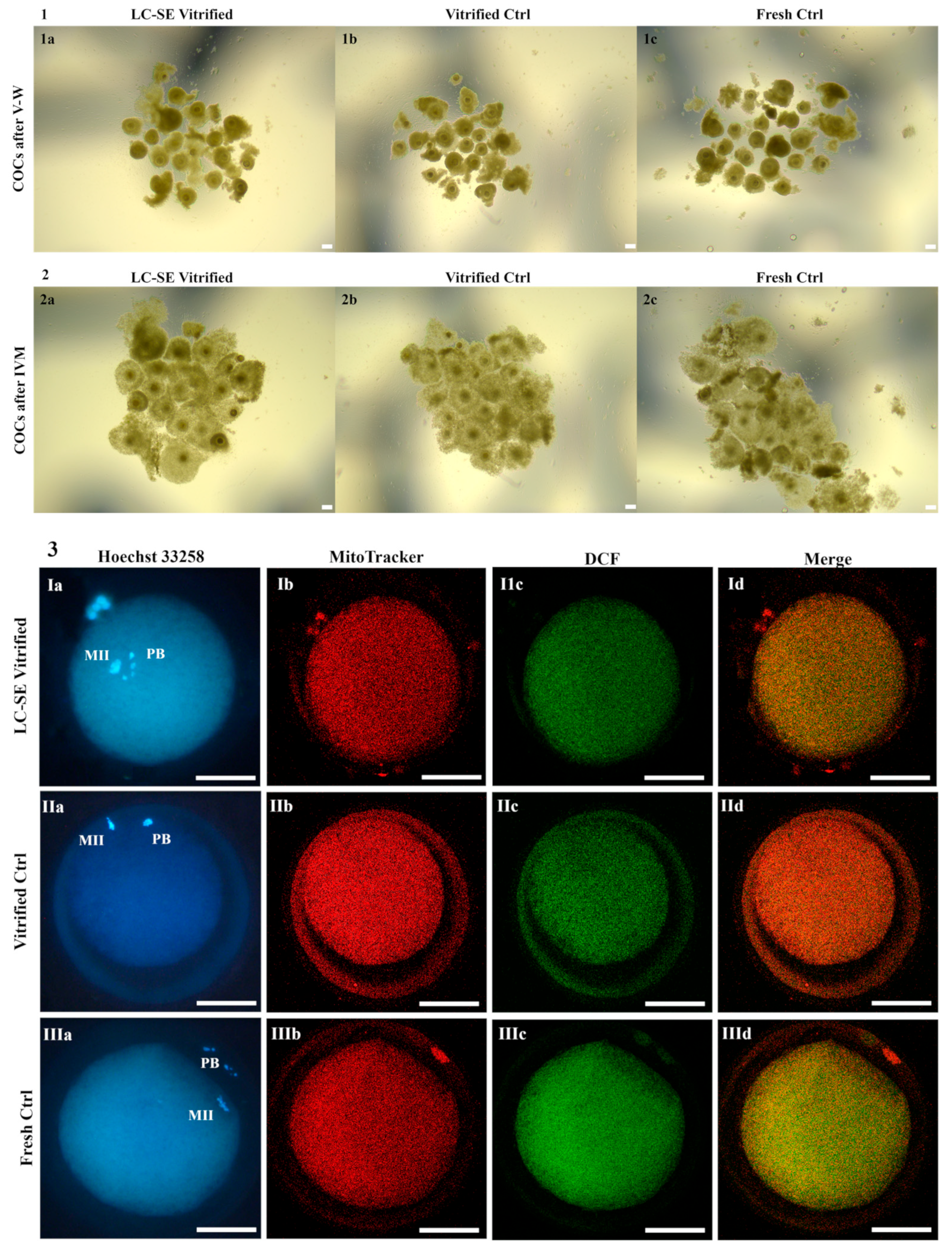 Animals 14 02351 g005