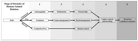 Animals 14 02355 g001