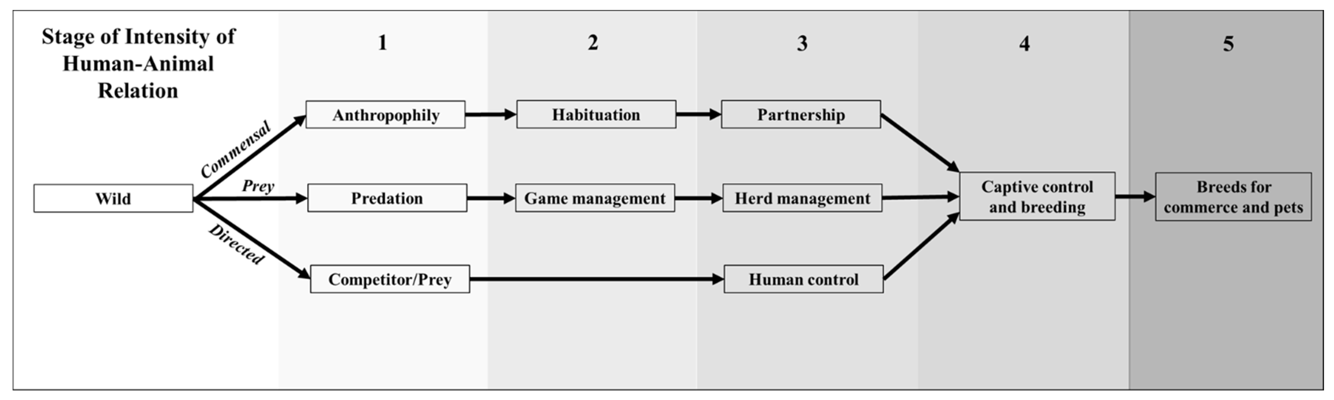 Animals 14 02355 g001 Animals 14 02355 g001