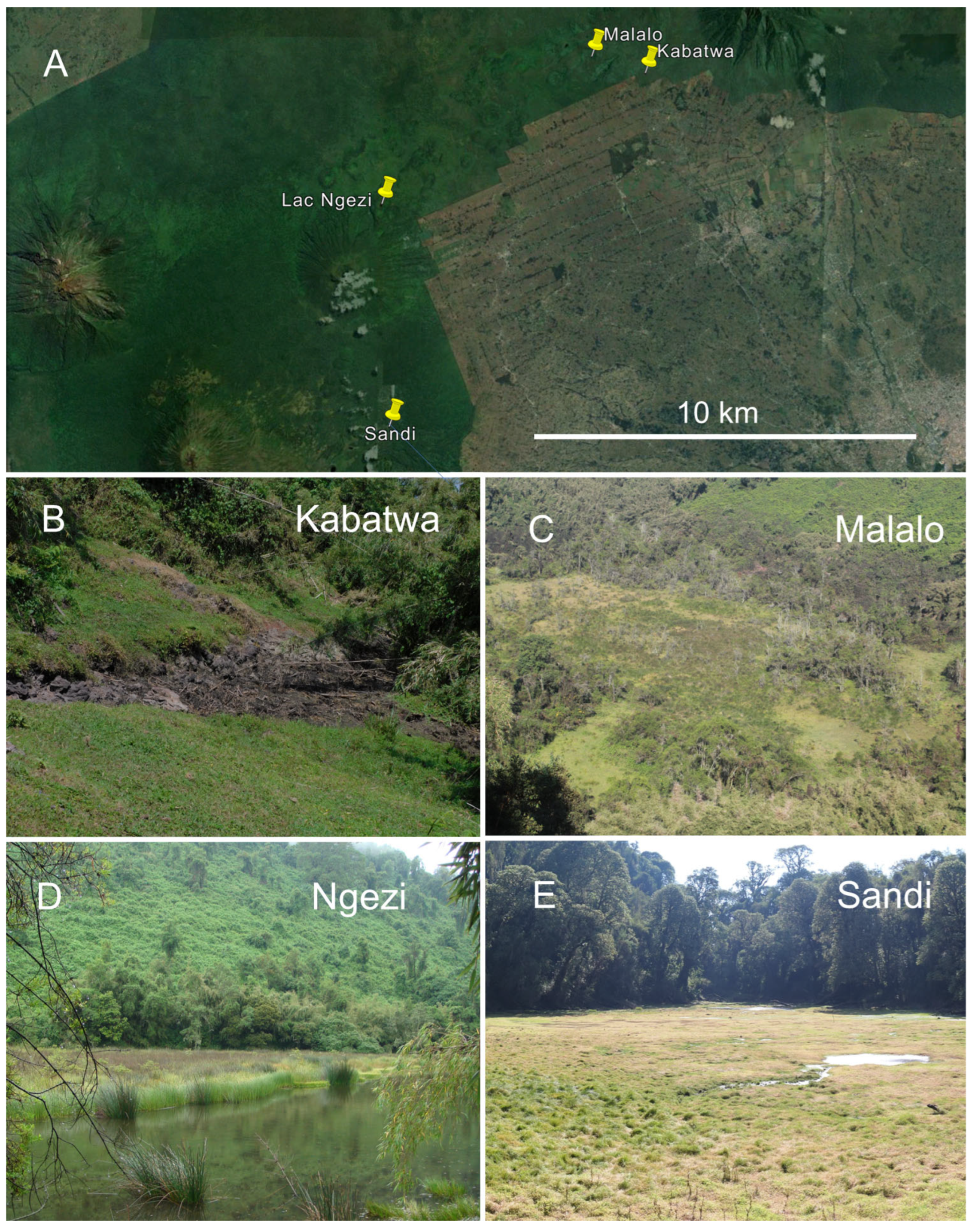 Animals 14 02360 g001