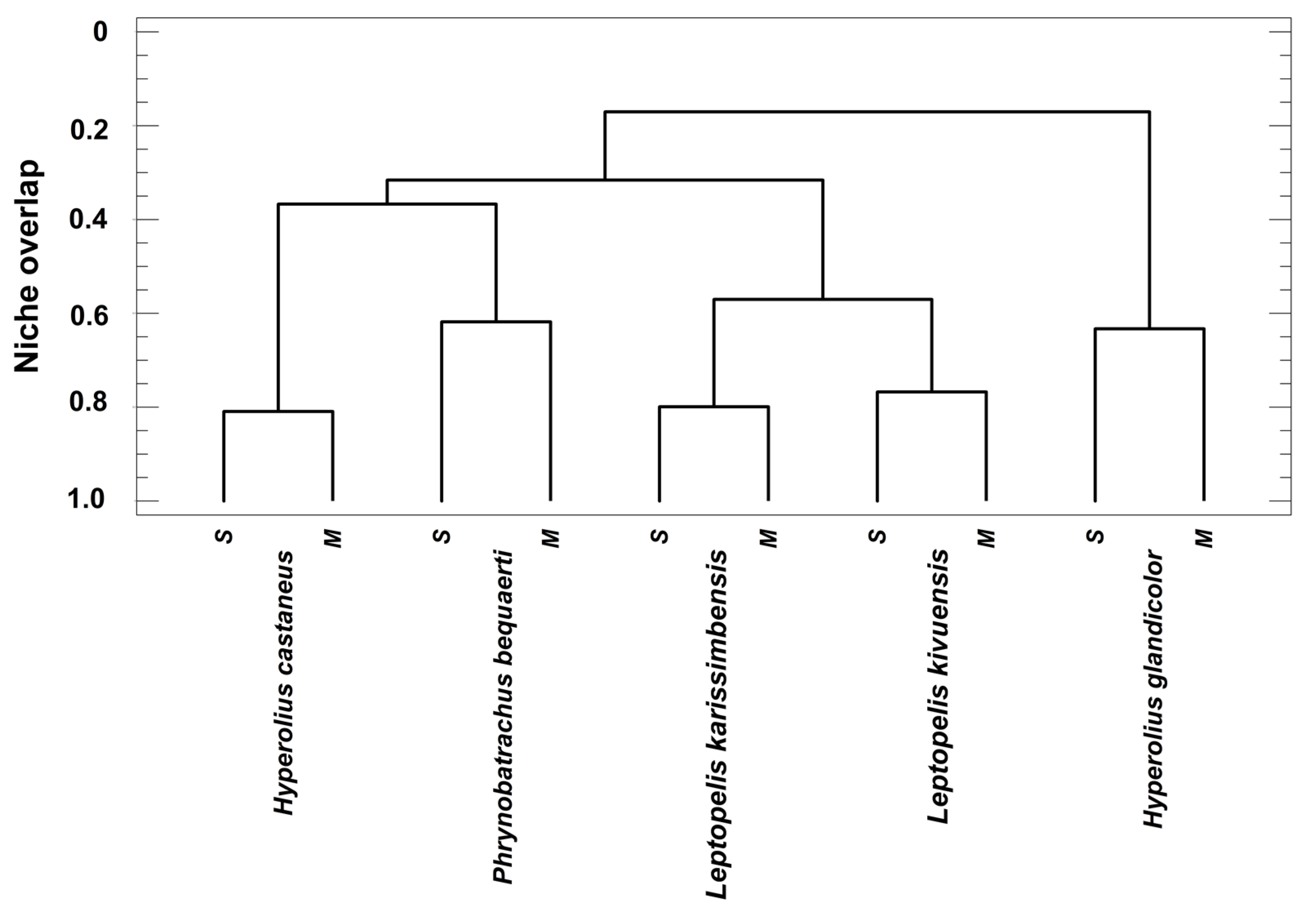 Animals 14 02360 g008